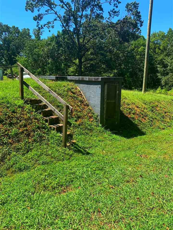 485 Caney Branch Road Adamsville, TN 38310 - Photo 5 of 15 Gallery Image 5