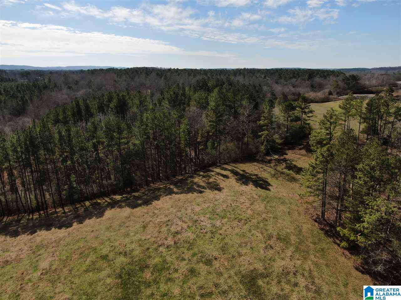 79 Highway 79 Cleveland, AL 35049 - Photo 10 of 36