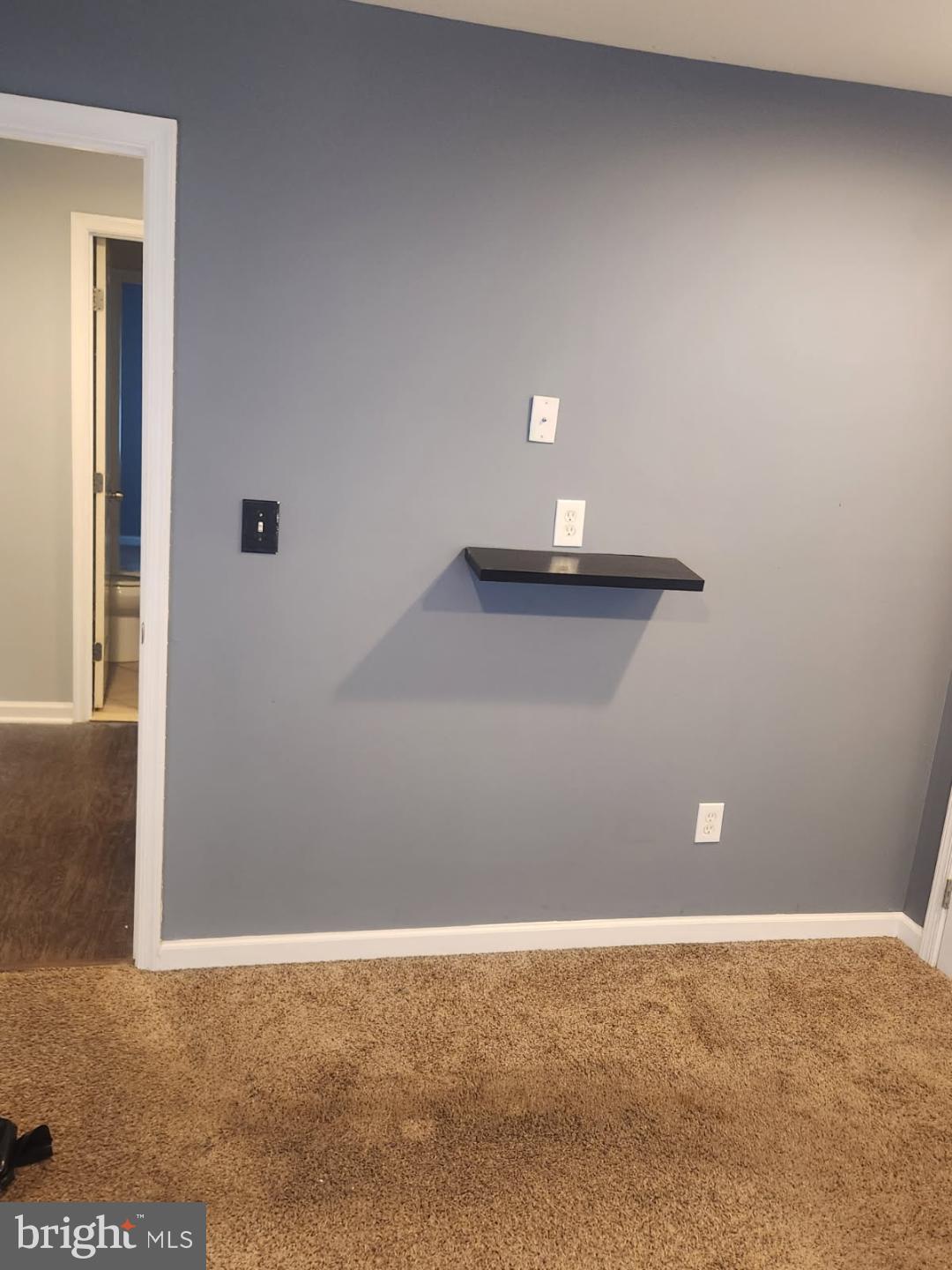 1011 Nova Avenue Capitol Heights, MD 20743 - Photo 7 of 15 a view of a livingroom with closet