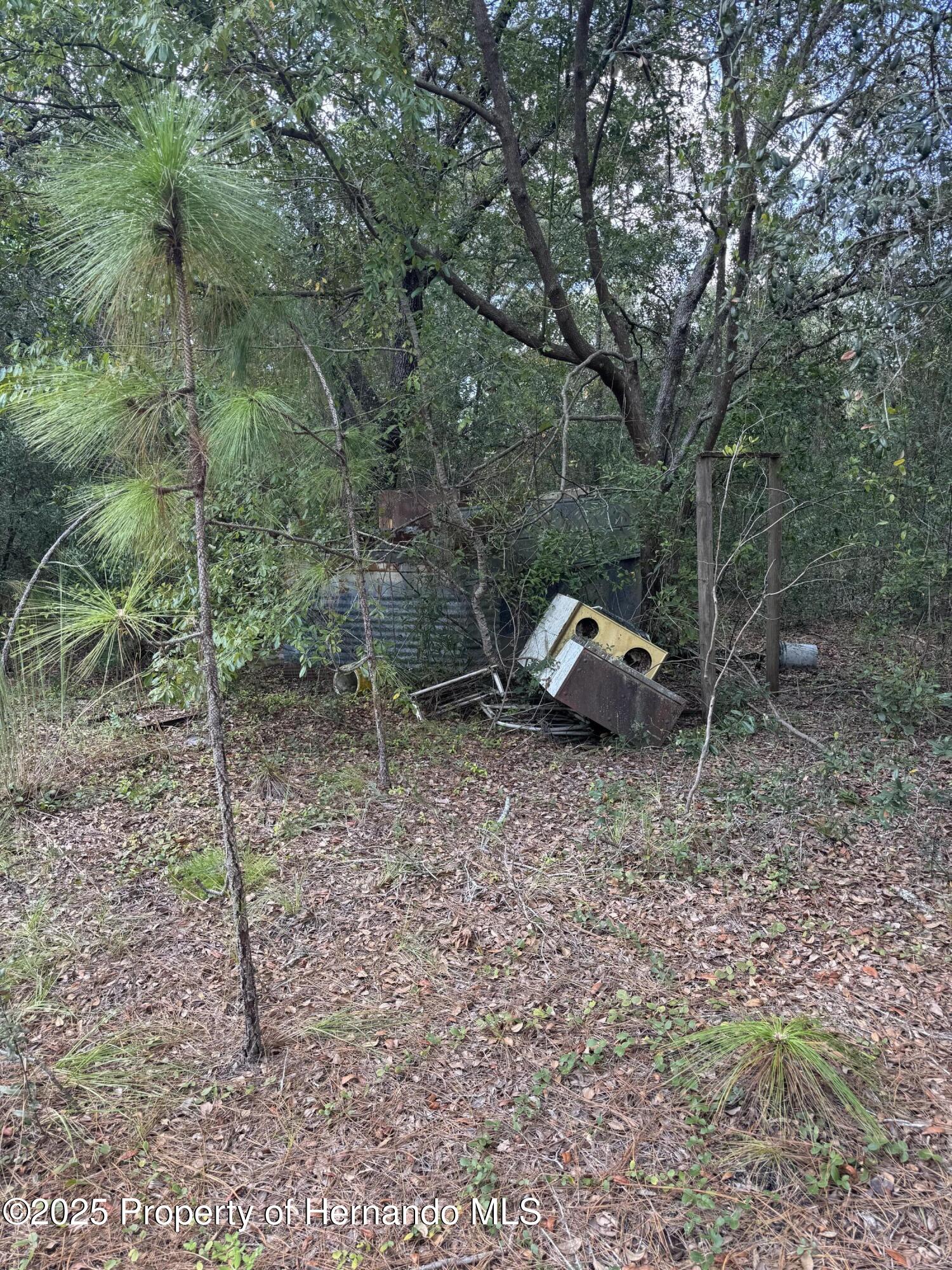 0 Cart Path Brooksville, FL 34602 - Photo 12 of 12