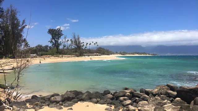 a view of a lake with a beach