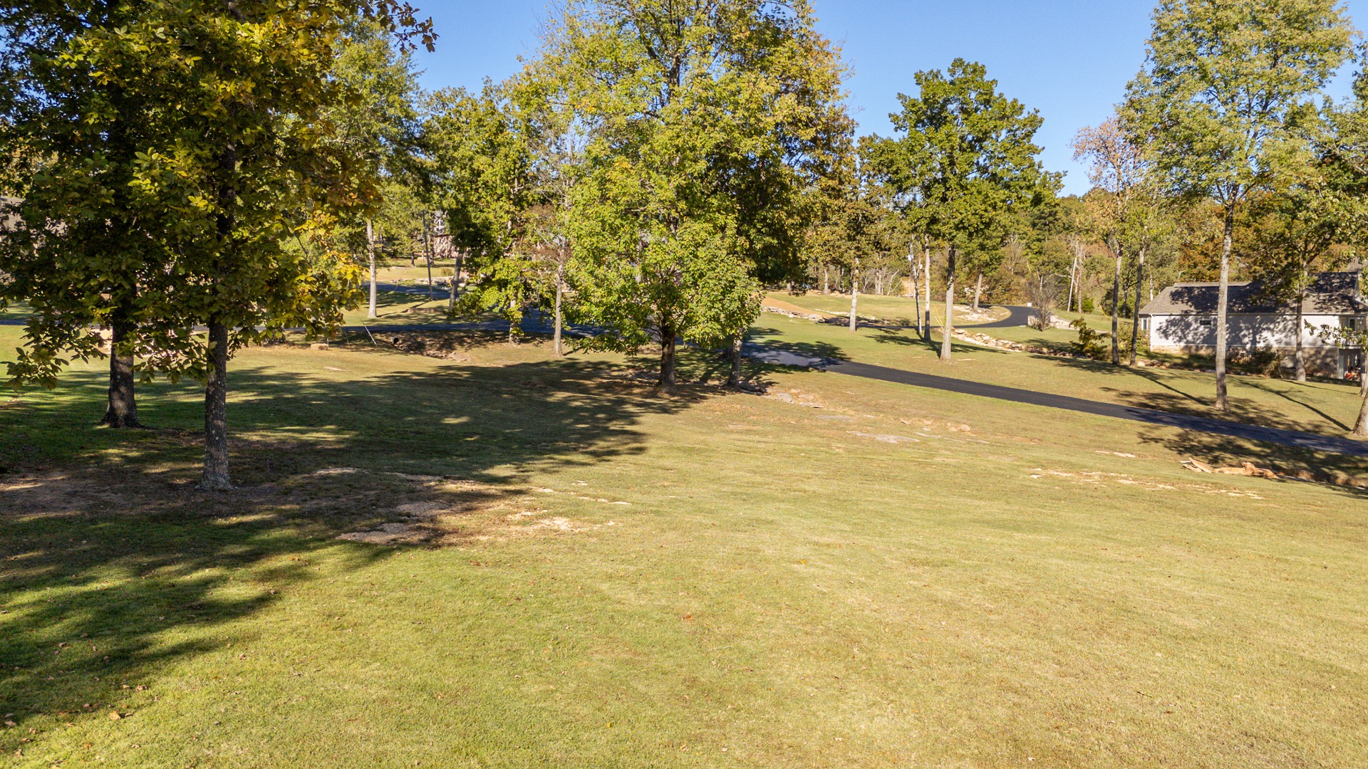 21 Rivers Edge Cove Bath Springs, TN 38311 - Photo 12 of 41 a view of yard with swimming pool and trees