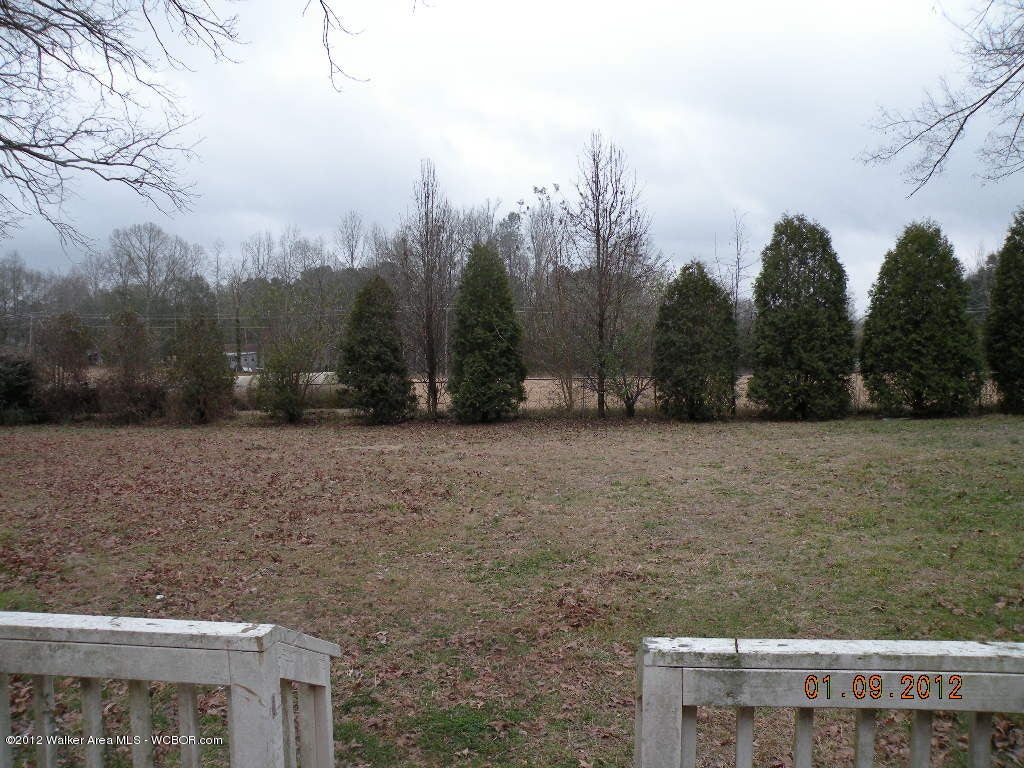 1003 Brakefield Dairy Road Jasper, AL 35503 - Photo 4 of 15 Gallery Image 4