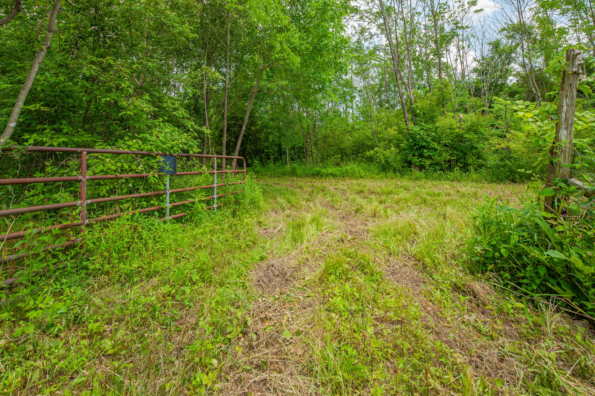 0 Carlton Road Christiana, TN 37037 - Photo 1 of 7 Gallery Image 1