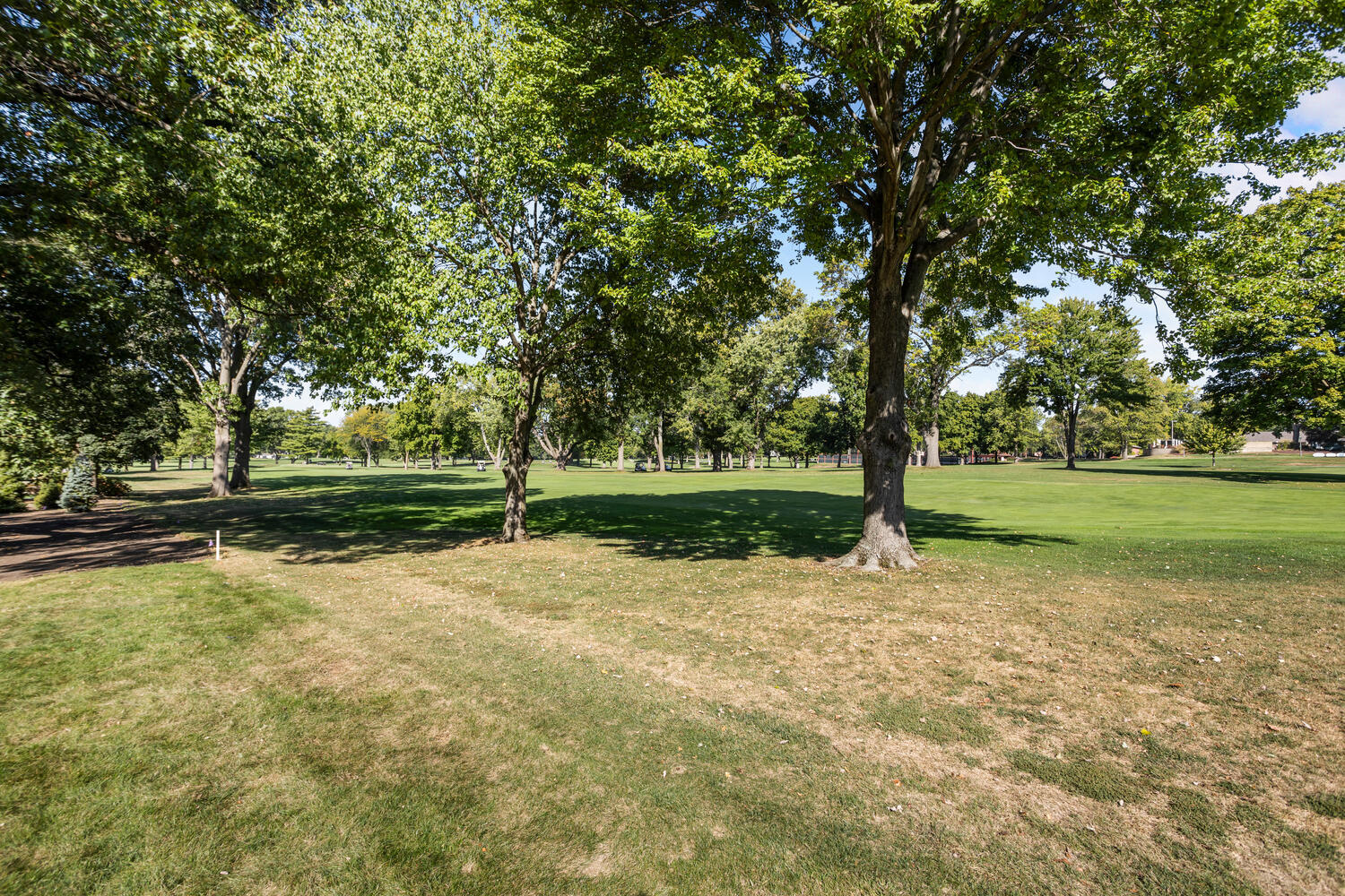 7 Greencroft Drive Champaign, IL 61821 - Photo 41 of 44 a view of a park with tree s