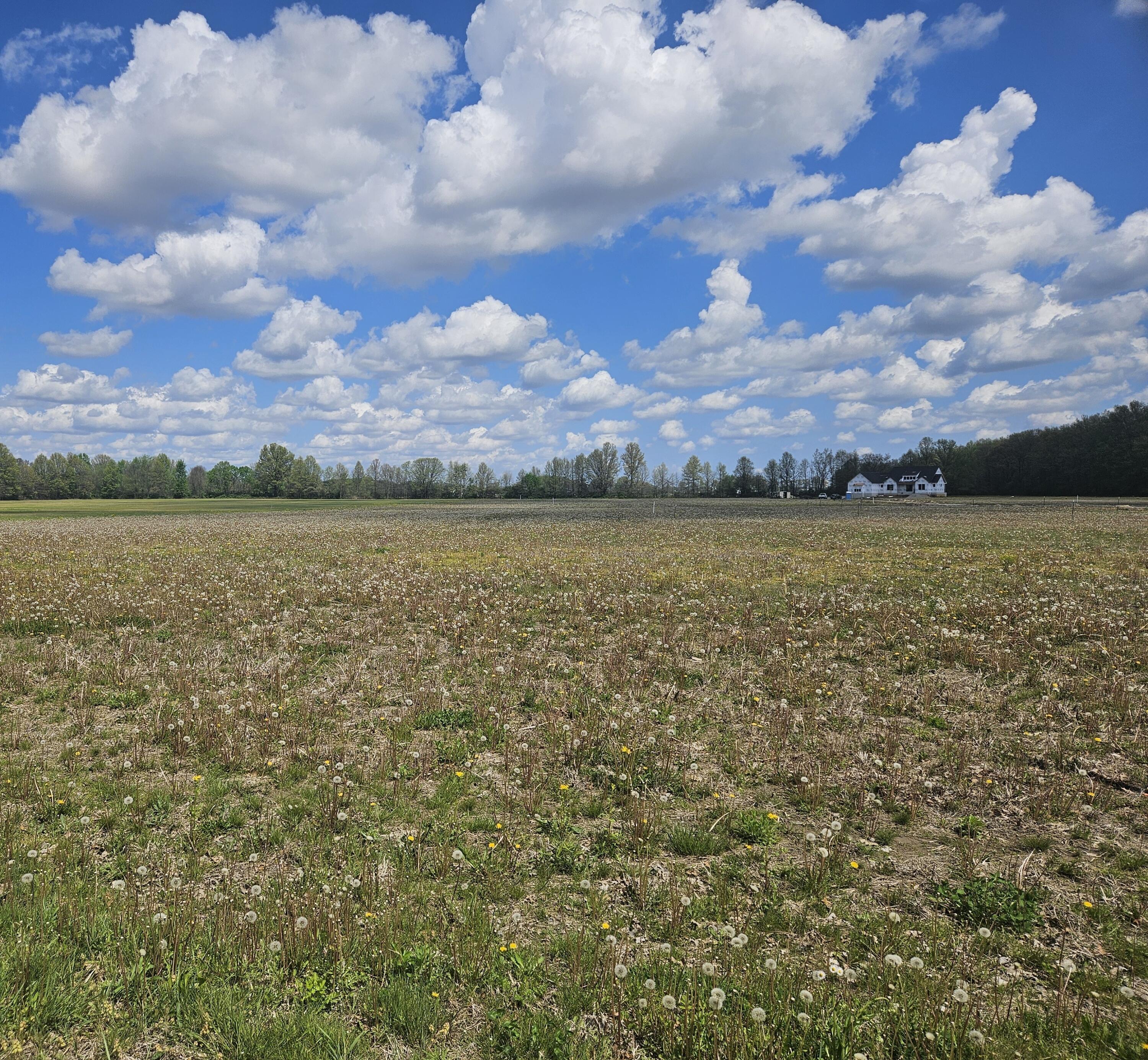 0 Ford Road, Unit TRACT 4 Delaware, OH 43015 - Photo 2 of 4 20260423_121235 (1)