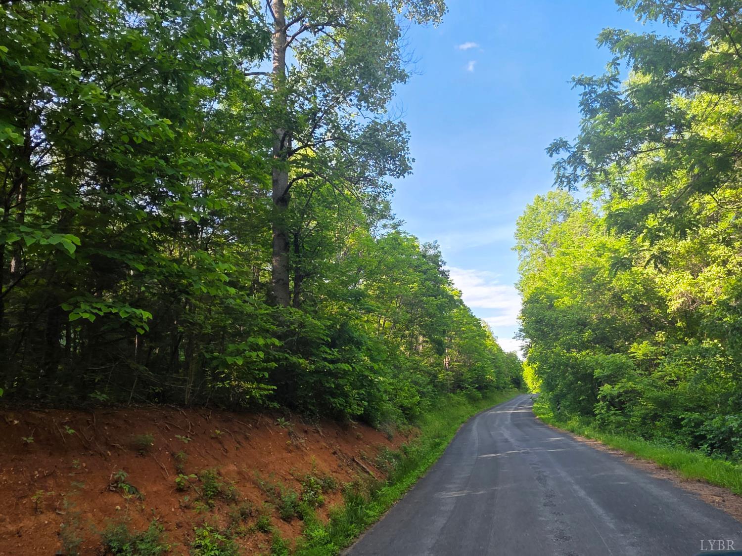 0 Dreaming Creek Road Concord, VA 24538 - Photo 4 of 15