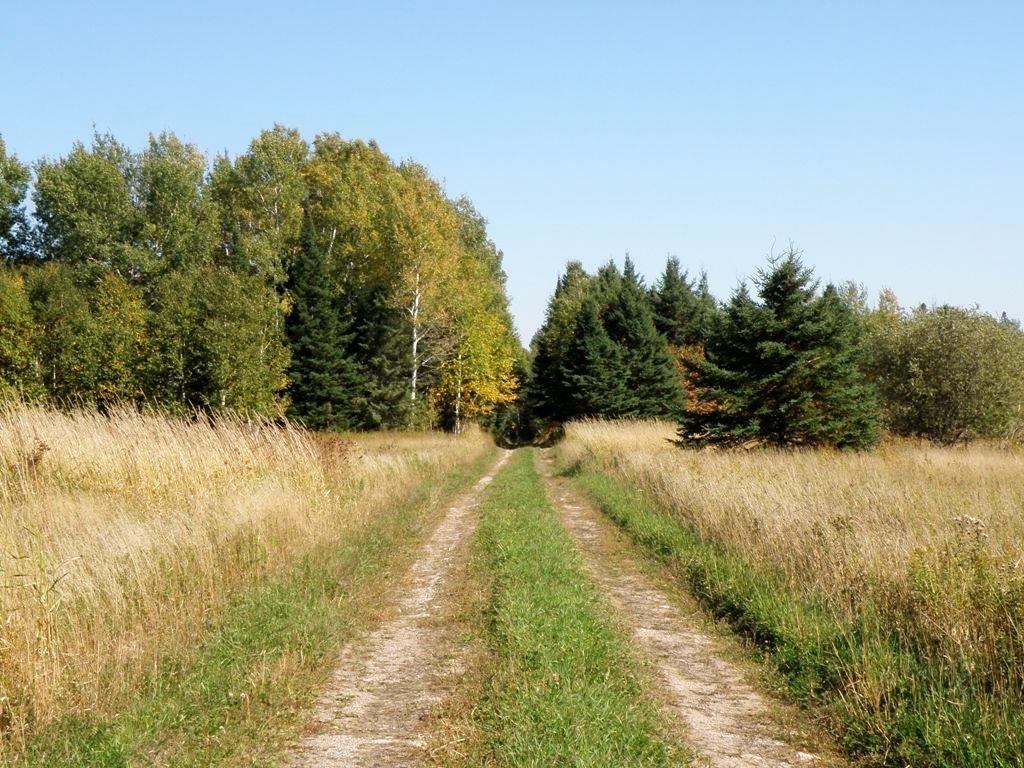 38888 West Maple Ridge Road Hulbert, MI 49748 - Photo 2 of 27 Gallery Image 2