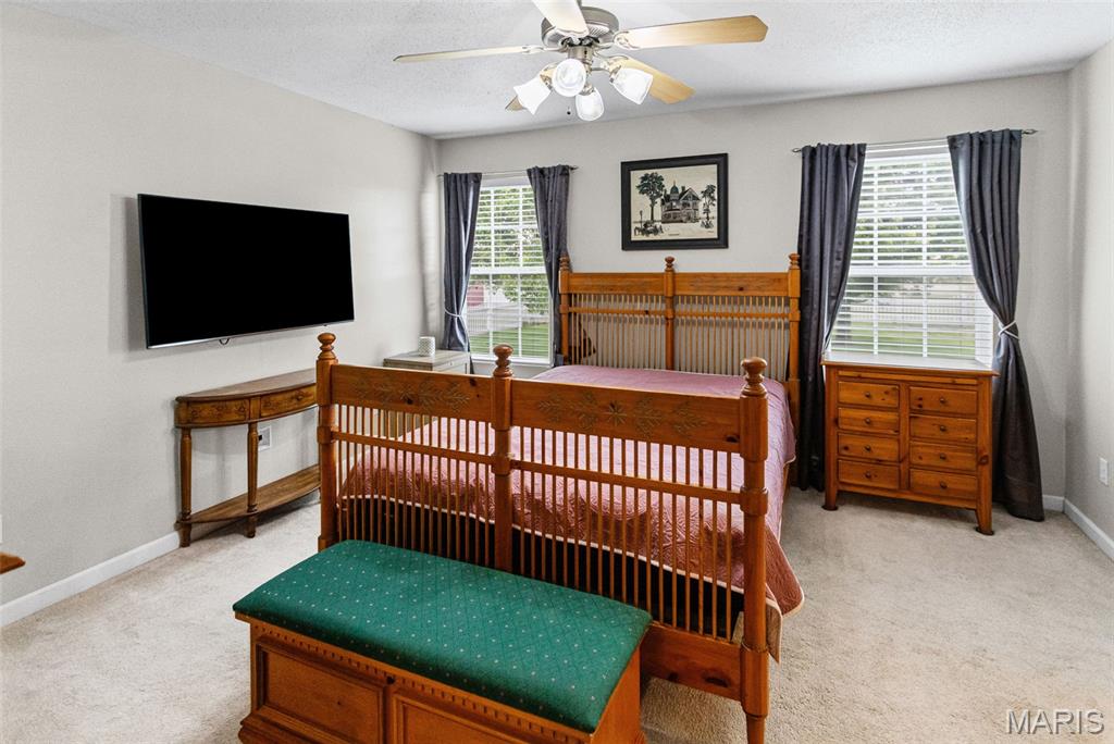 518 Deer Run Moro, IL 62067 - Photo 14 of 33