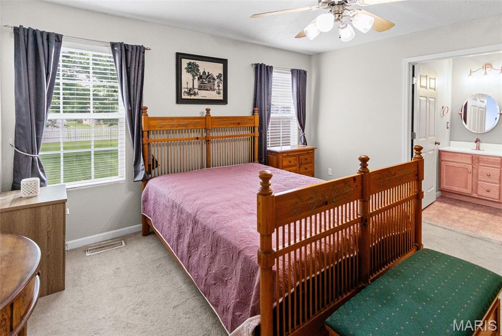 518 Deer Run Moro, IL 62067 - Photo 16 of 33