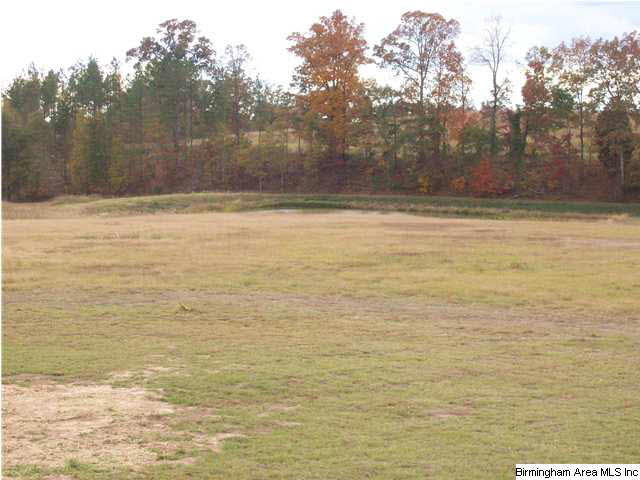 167 Old West Road Thorsby, AL 35171 - Photo 11 of 24