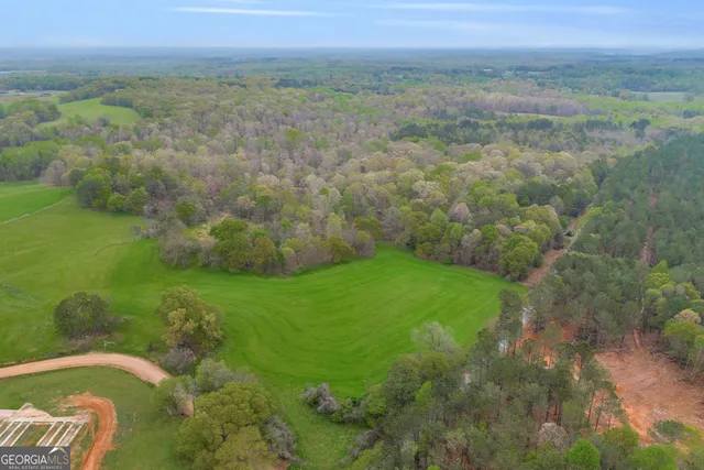 a view of a lush green outdoor space with a lake view