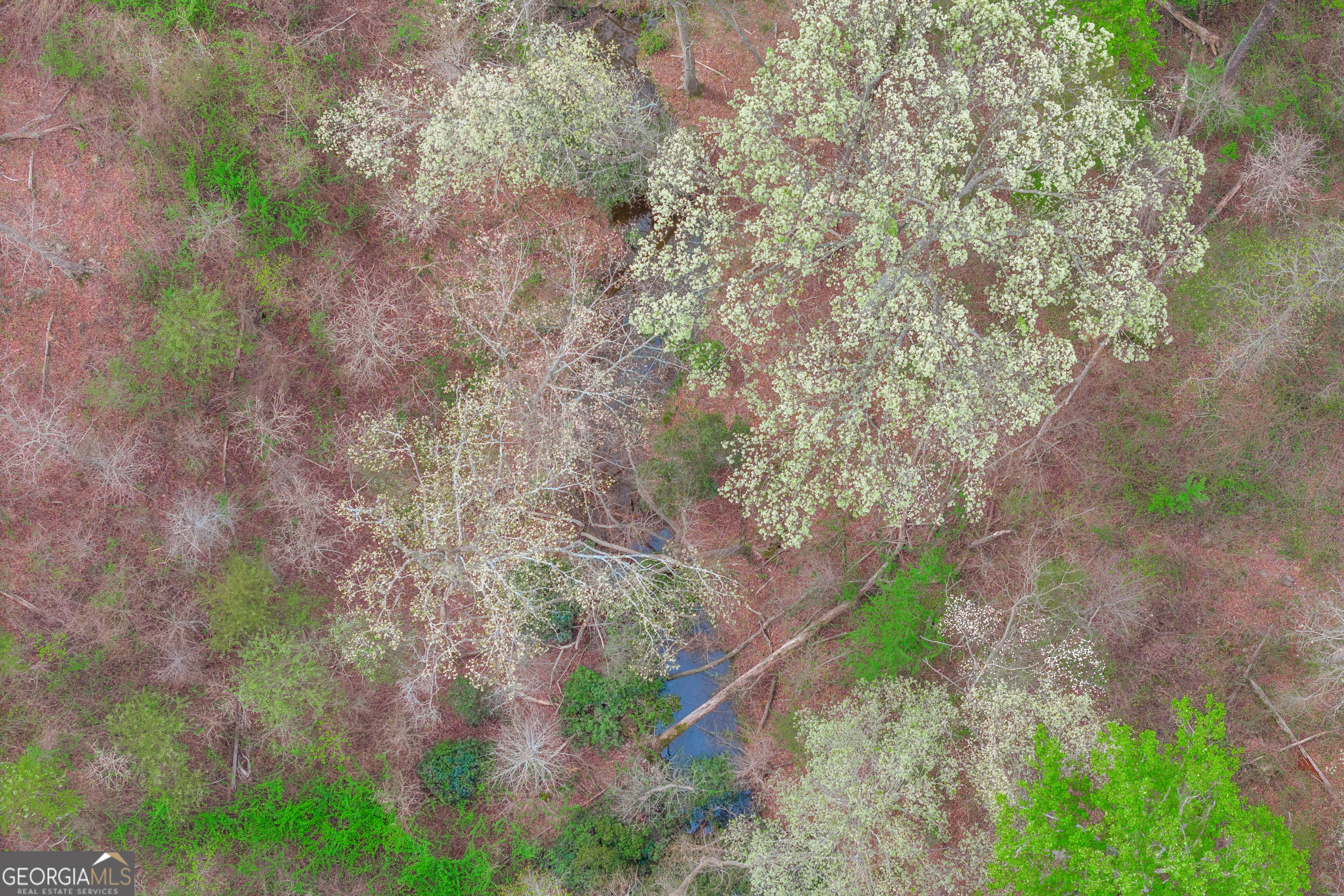 0 Carey-Ford Road Danielsville, GA 30633 - Photo 11 of 33 a backyard of a house with lots of green space