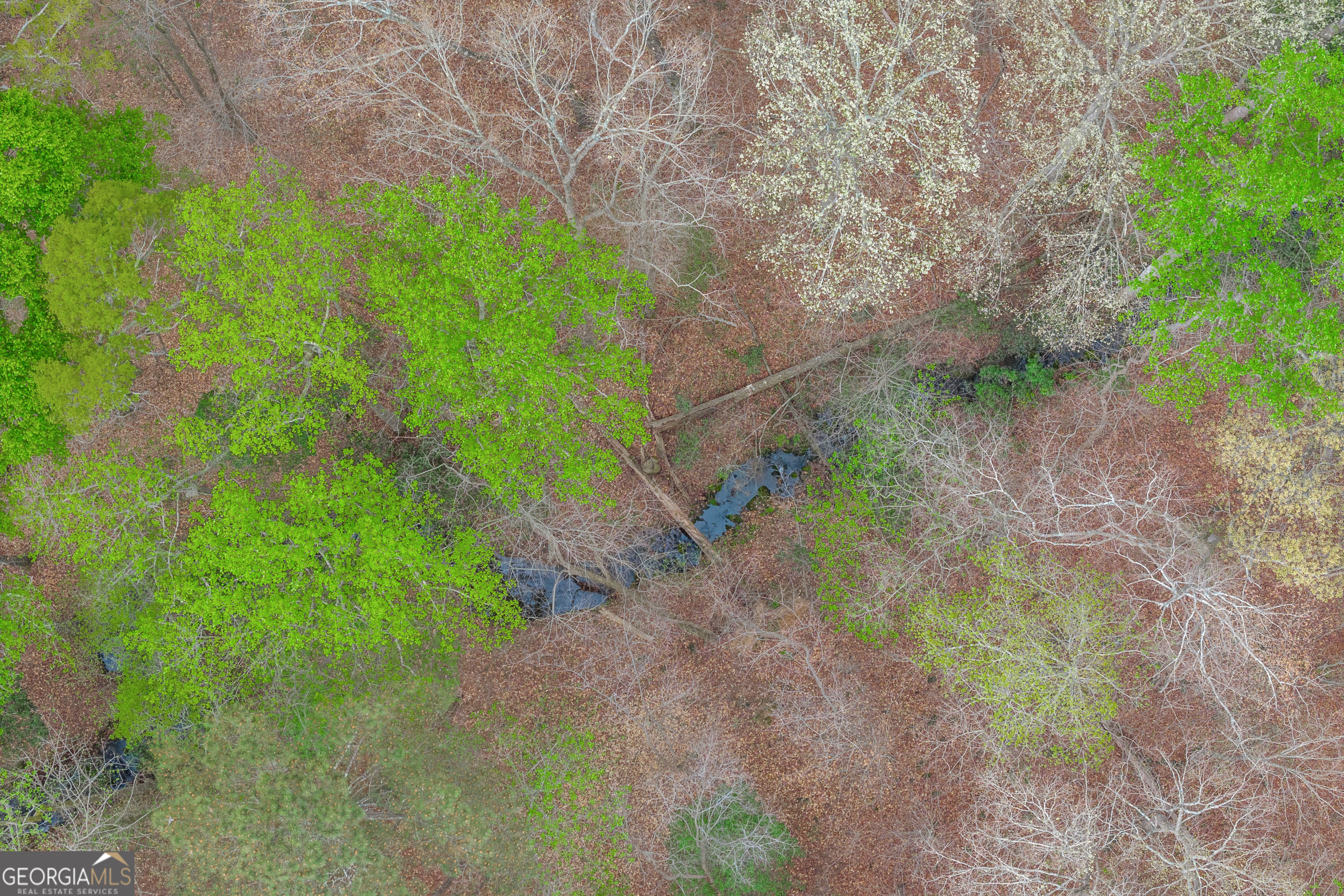 0 Carey-Ford Road Danielsville, GA 30633 - Photo 12 of 33 a backyard of a house with lots of green space