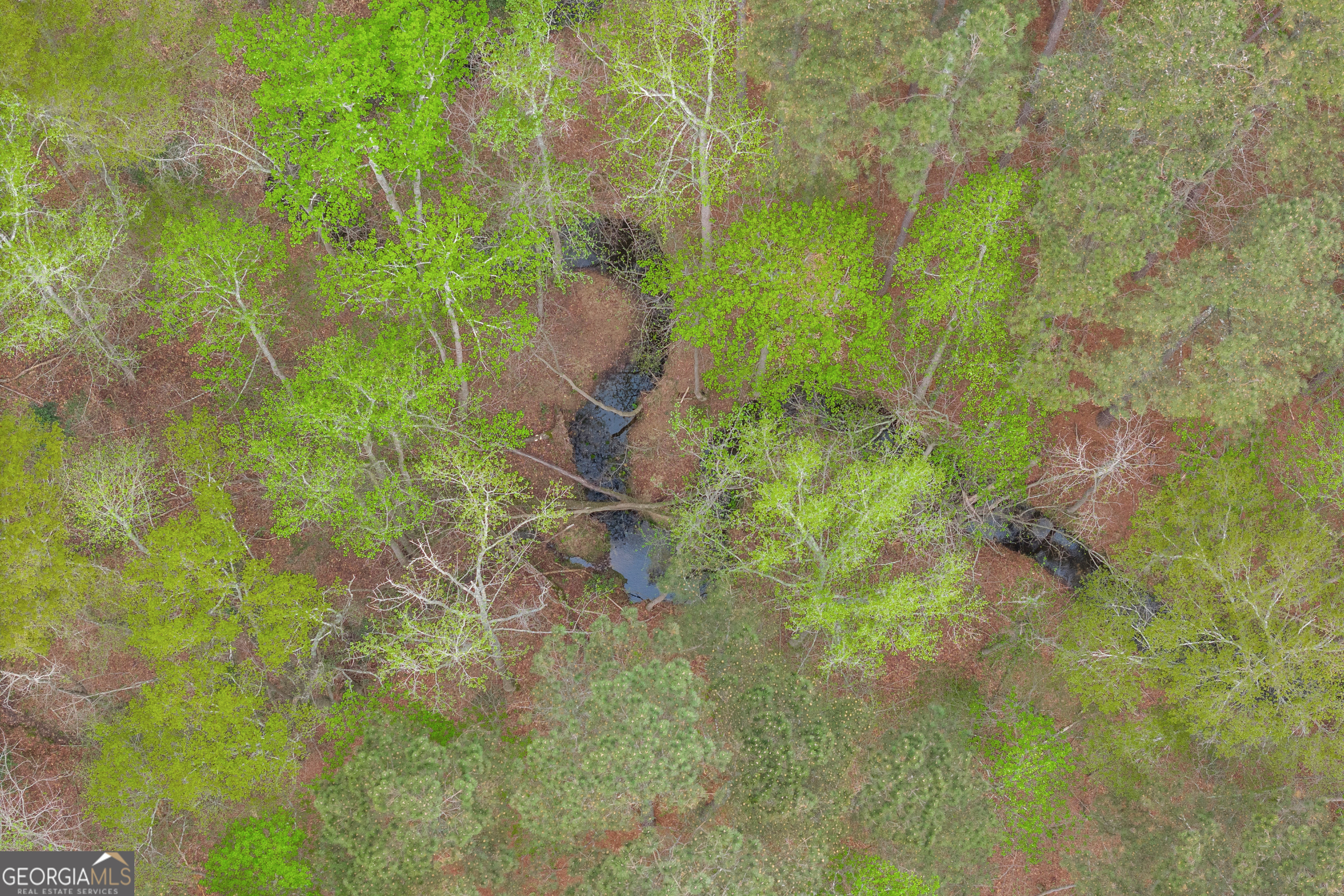 0 Carey-Ford Road Danielsville, GA 30633 - Photo 13 of 33 a view of a garden