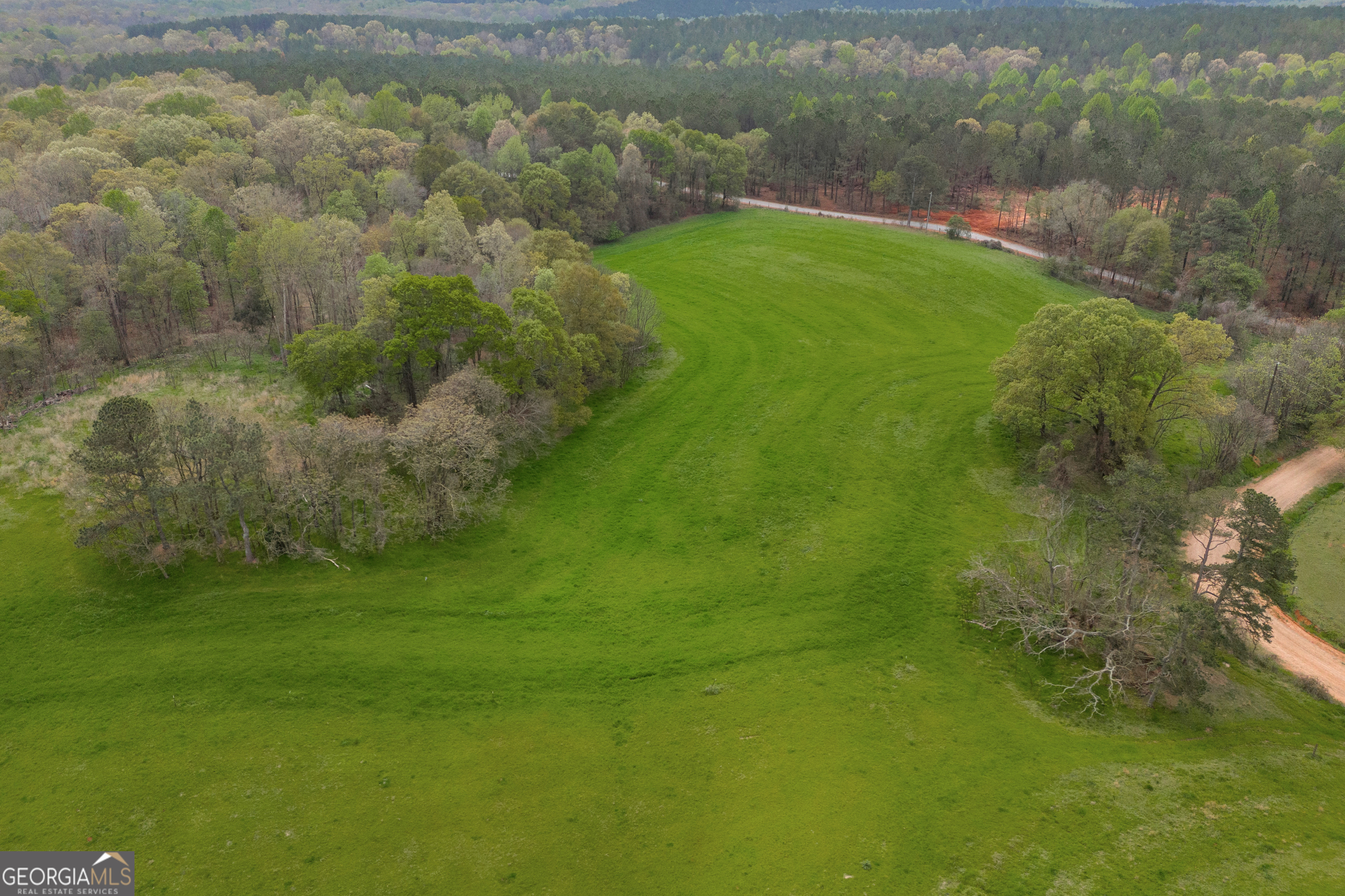 0 Carey-Ford Road Danielsville, GA 30633 - Photo 16 of 33 a view of a big yard