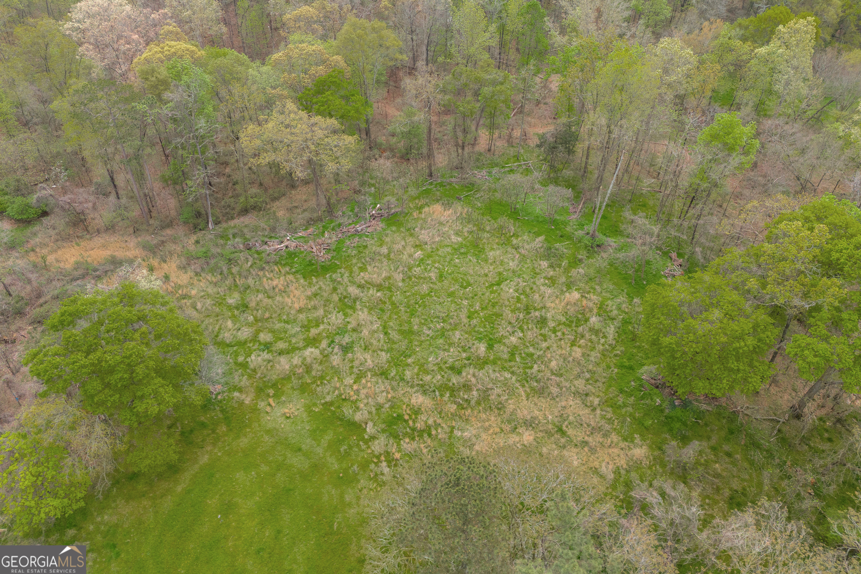 0 Carey-Ford Road Danielsville, GA 30633 - Photo 17 of 33 a view of a small yard