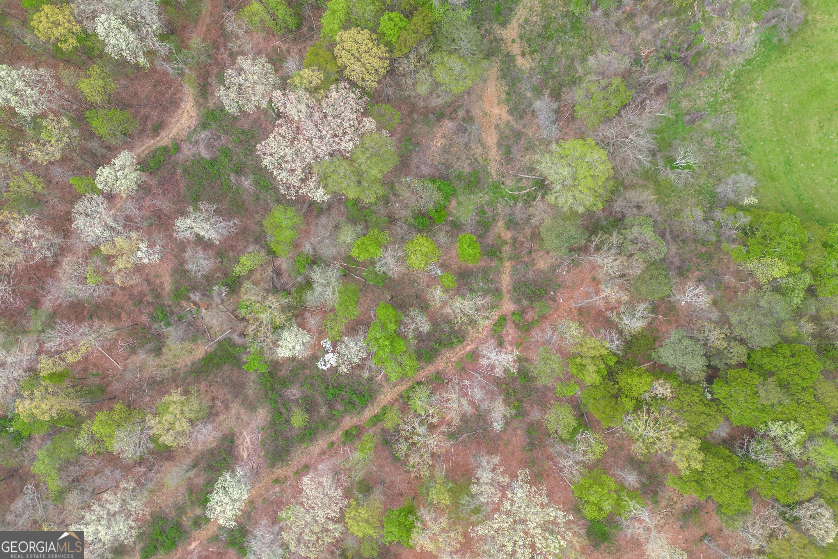 0 Carey-Ford Road Danielsville, GA 30633 - Photo 19 of 33 a backyard of a house