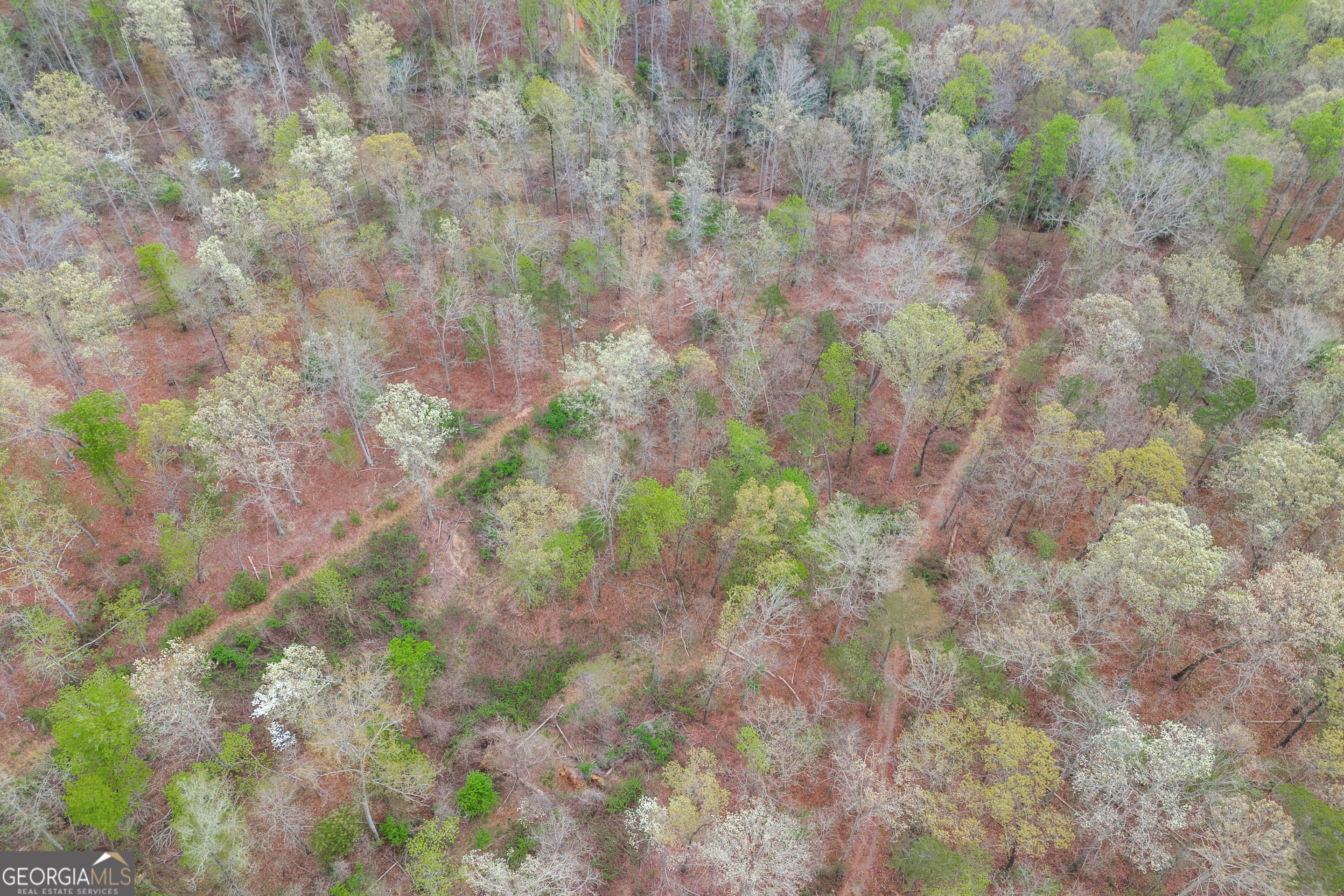 0 Carey-Ford Road Danielsville, GA 30633 - Photo 20 of 33 a backyard of a house with lots of trees