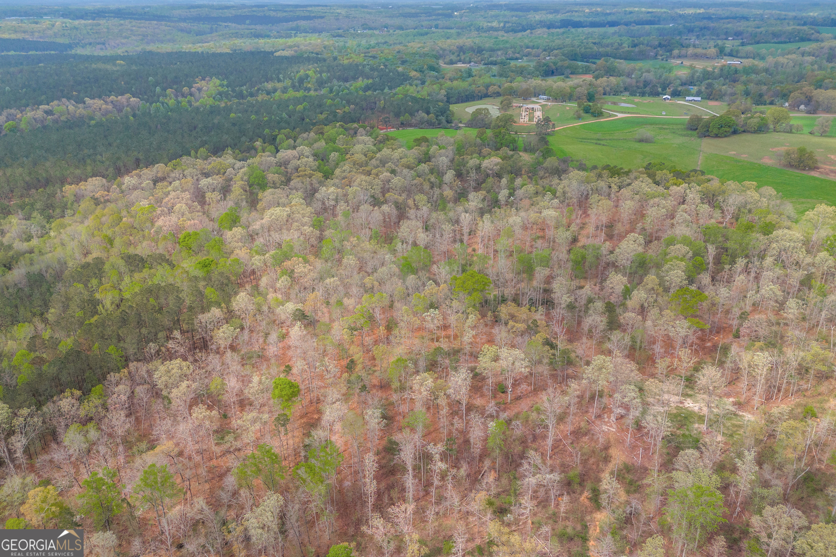 0 Carey-Ford Road Danielsville, GA 30633 - Photo 21 of 33 a view of a yard