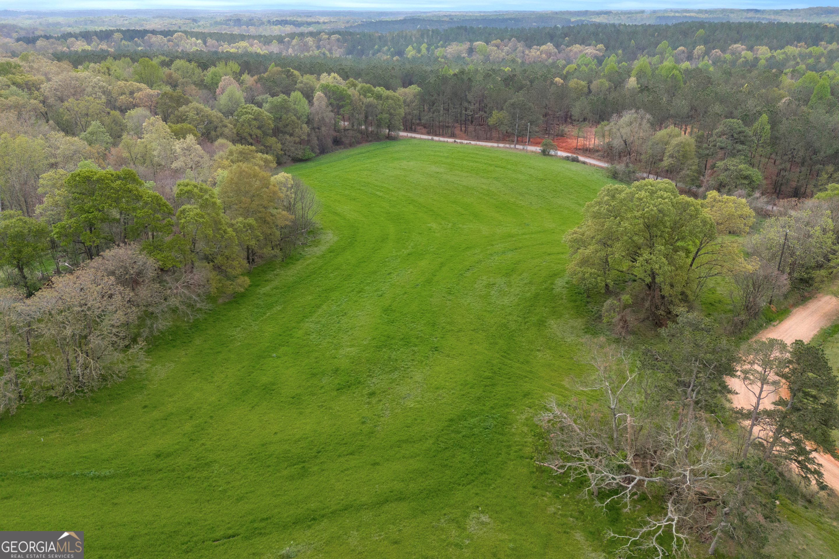 0 Carey-Ford Road Danielsville, GA 30633 - Photo 24 of 33 a view of a green yard with a mountain