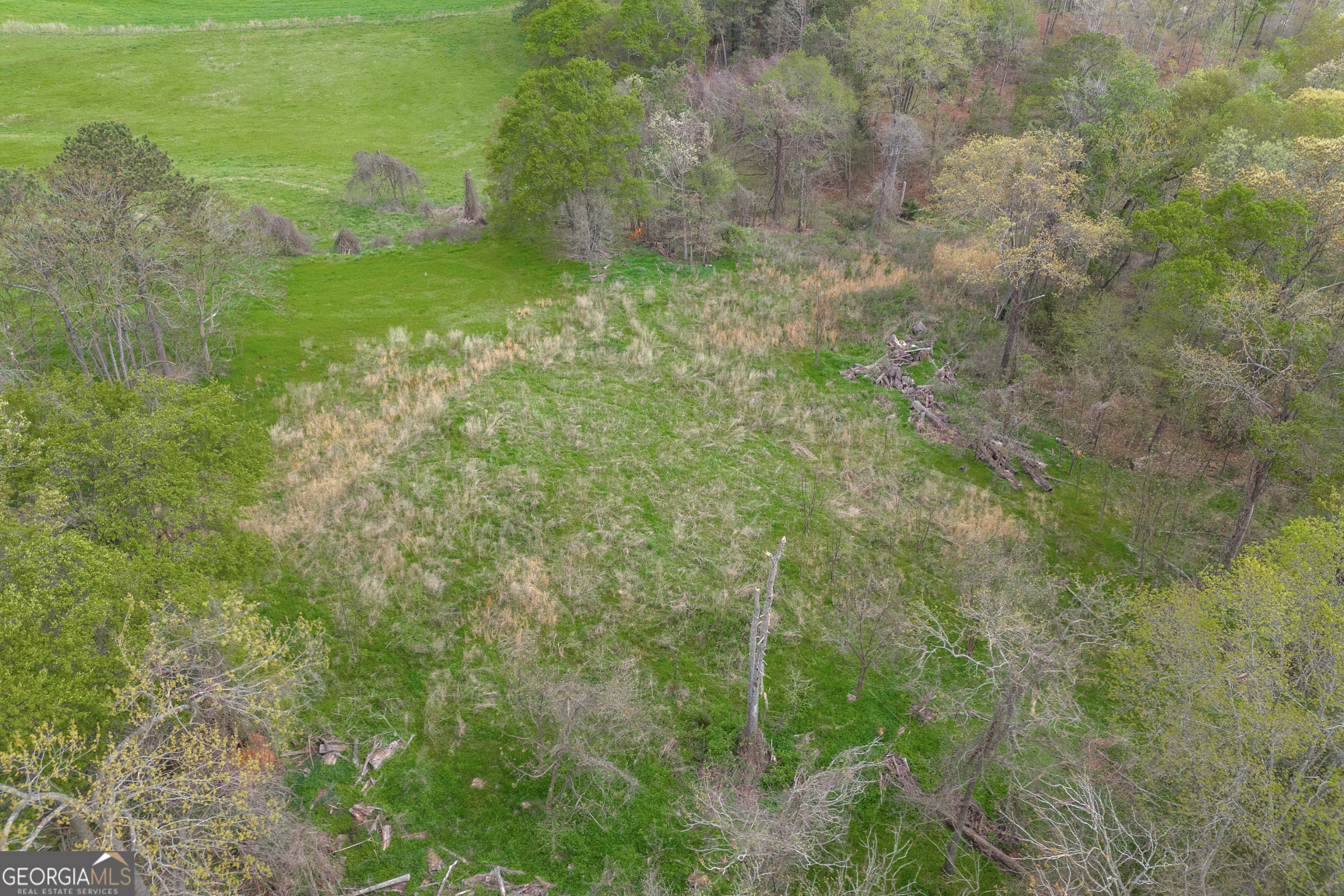 0 Carey-Ford Road Danielsville, GA 30633 - Photo 27 of 33 a view of yard with green space