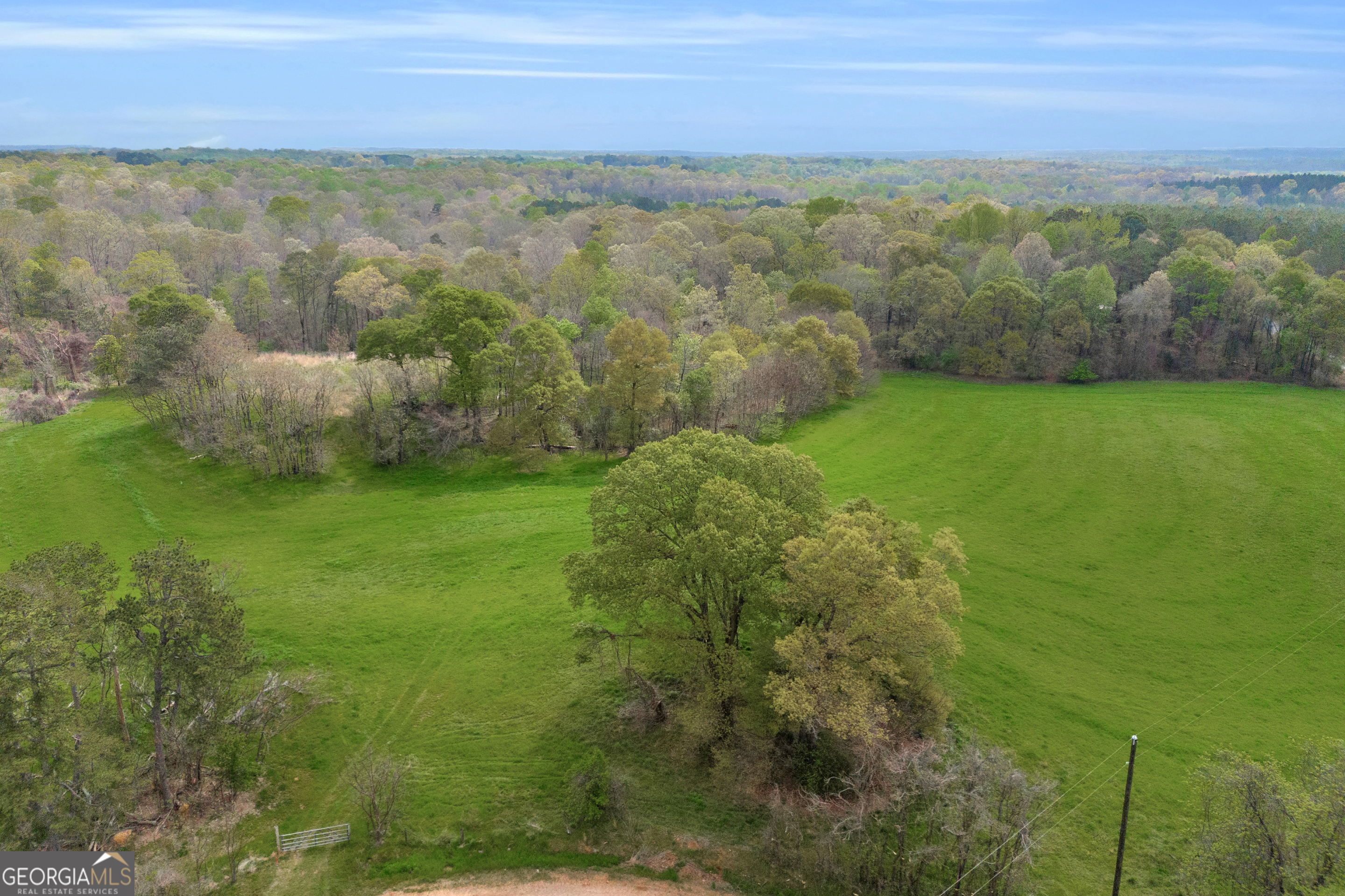 0 Carey-Ford Road Danielsville, GA 30633 - Photo 28 of 33 a view of a yard with a mountain