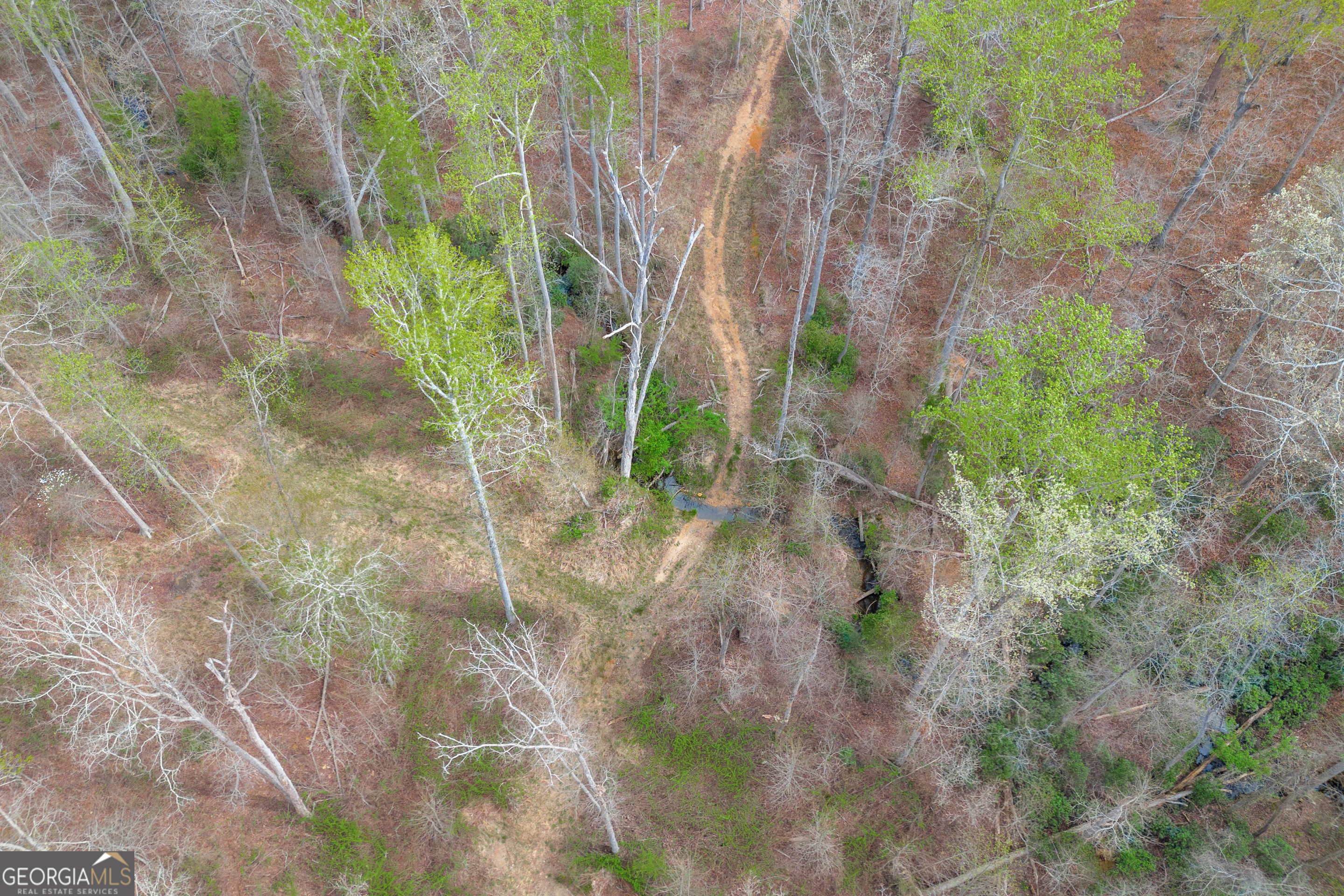 0 Carey-Ford Road Danielsville, GA 30633 - Photo 29 of 33 a backyard of a building