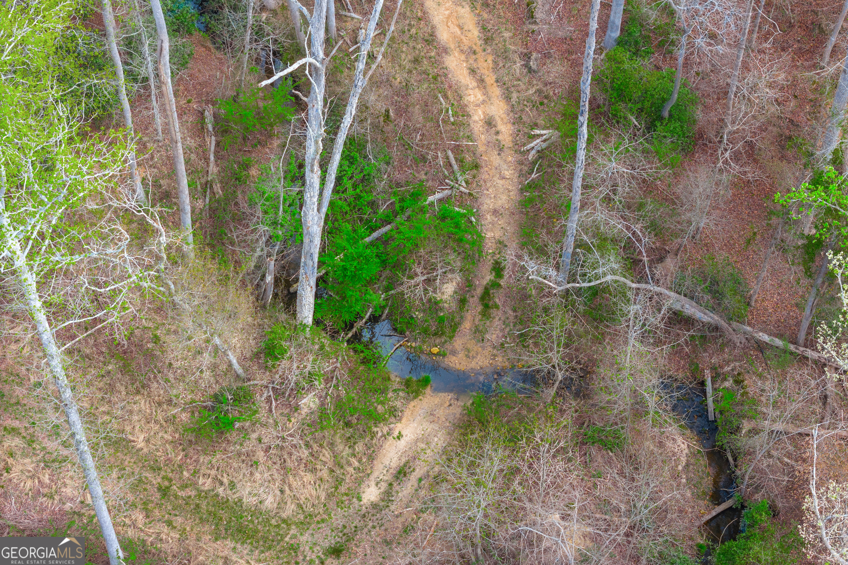 0 Carey-Ford Road Danielsville, GA 30633 - Photo 30 of 33 a backyard of a house with lots of green space