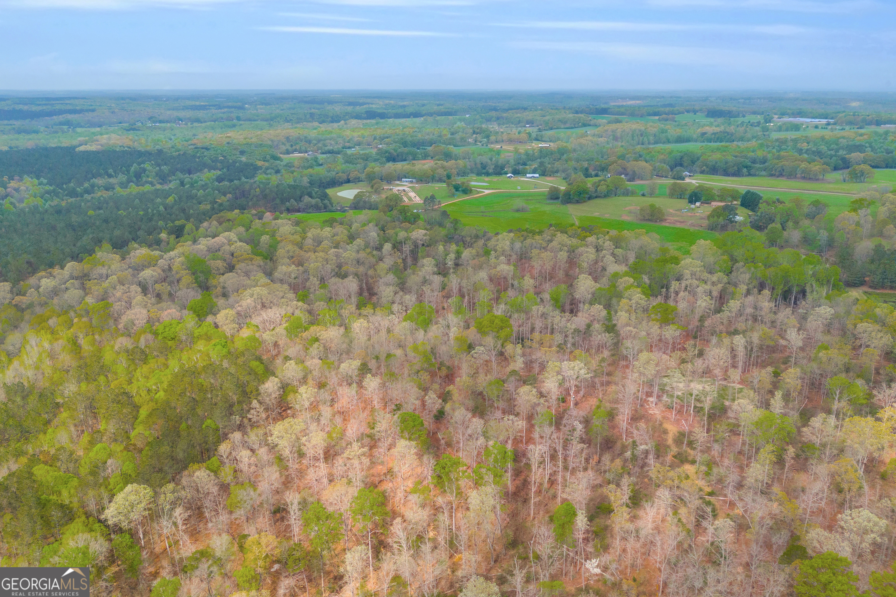 0 Carey-Ford Road Danielsville, GA 30633 - Photo 3 of 33 a view of an outdoor space and a yard