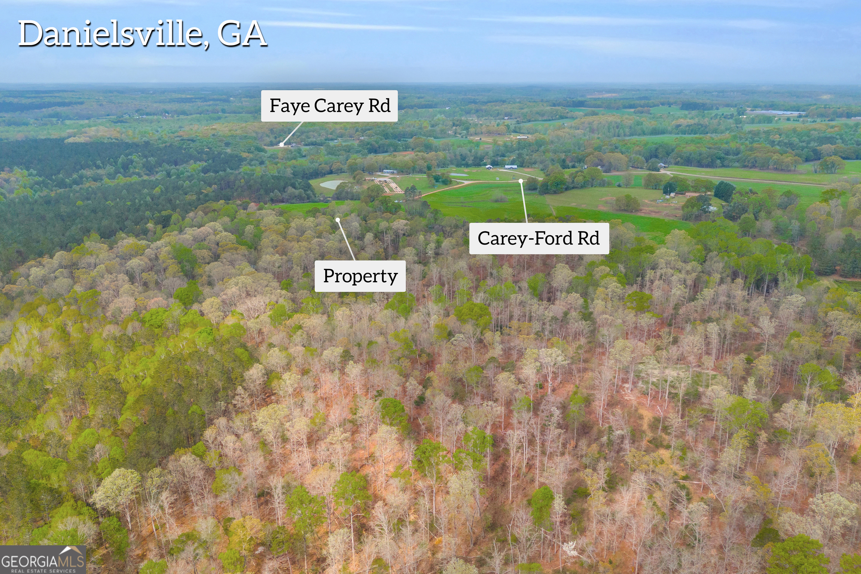 0 Carey-Ford Road Danielsville, GA 30633 - Photo 4 of 33