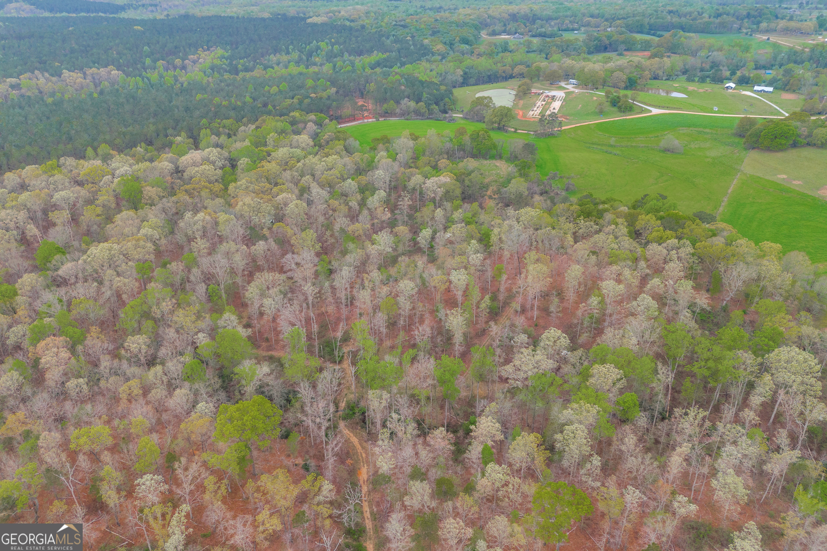 0 Carey-Ford Road Danielsville, GA 30633 - Photo 9 of 33 a view of a yard with a tree