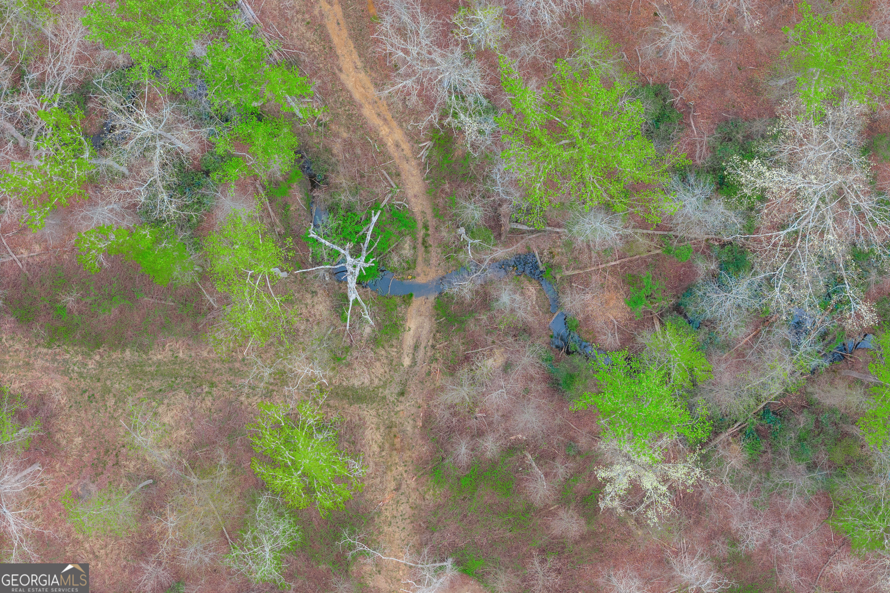 0 Carey-Ford Road Danielsville, GA 30633 - Photo 10 of 33 a view of a yard with plants and a bench