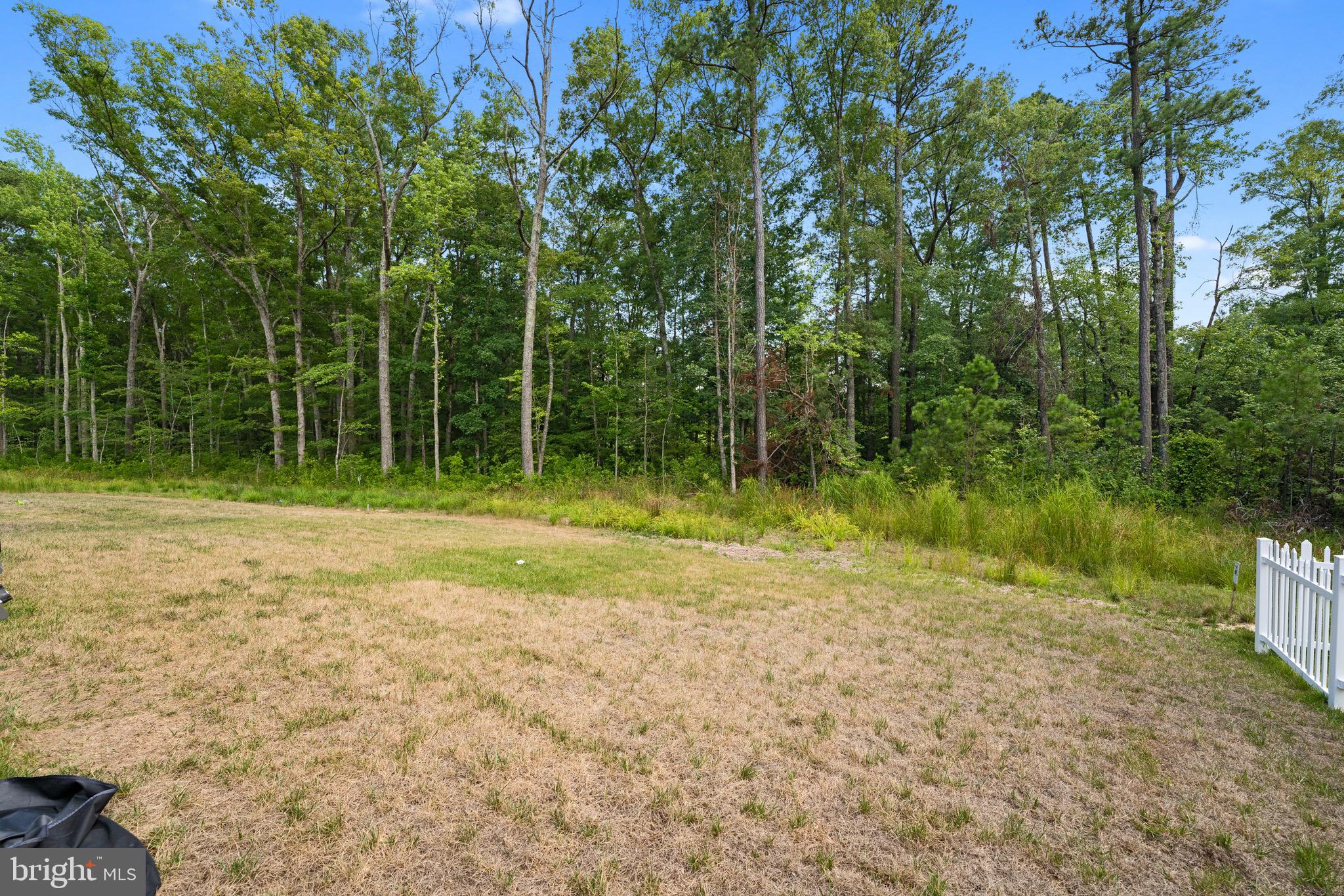 7208 Settlers Ridge Road Ruther Glen, VA 22546 - Photo 36 of 43 Gallery Image 36