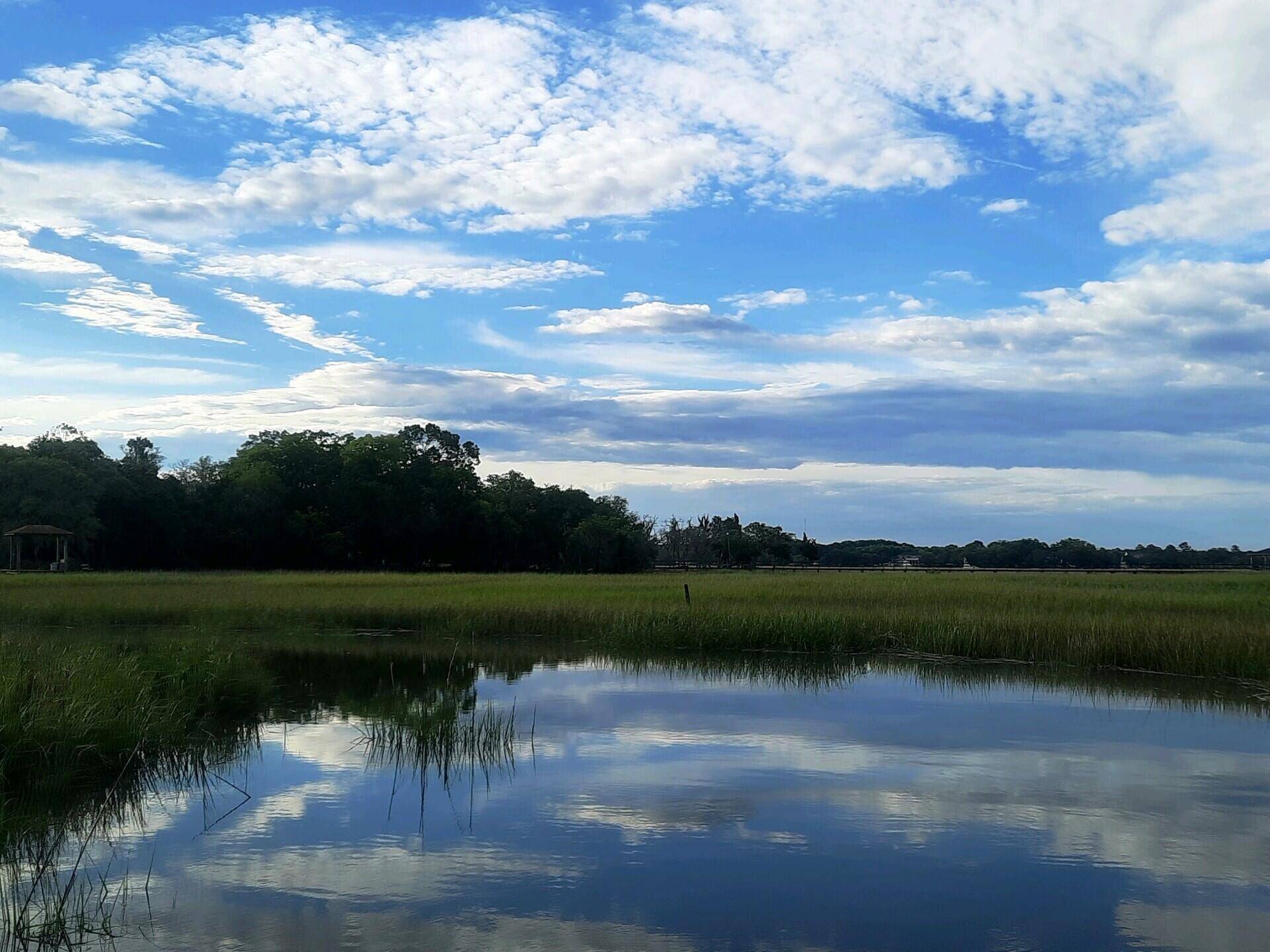 1 Long Island Road Meggett, SC 29449 - Photo 13 of 35 Great swimming!