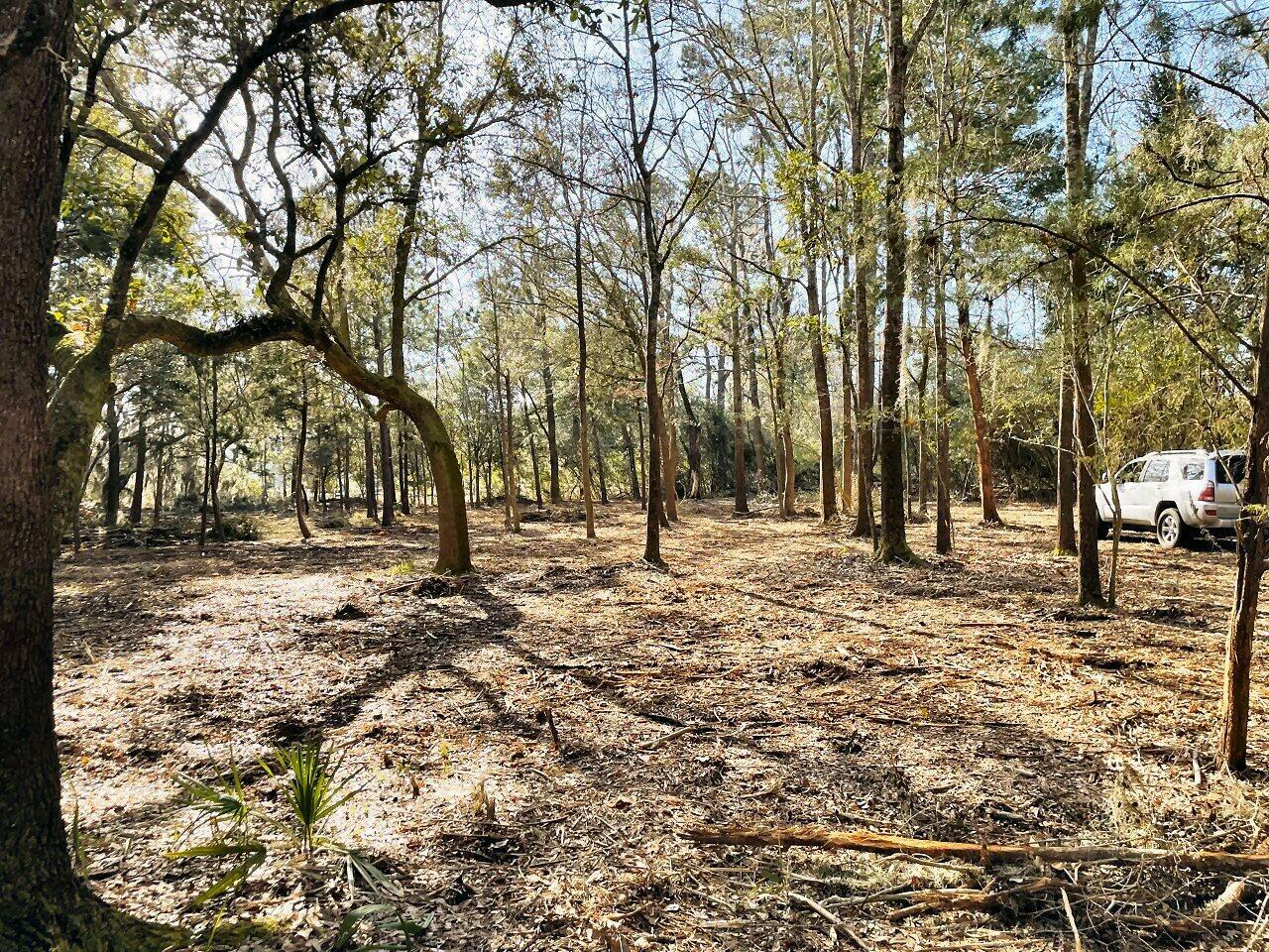 1 Long Island Road Meggett, SC 29449 - Photo 17 of 35 Homesite with ICW views!