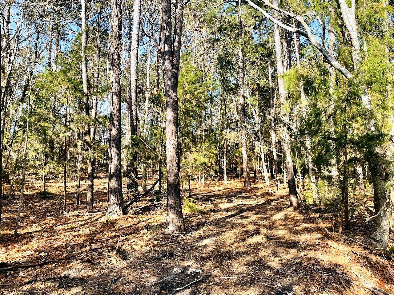 1 Long Island Road Meggett, SC 29449 - Photo 19 of 35 No HOA