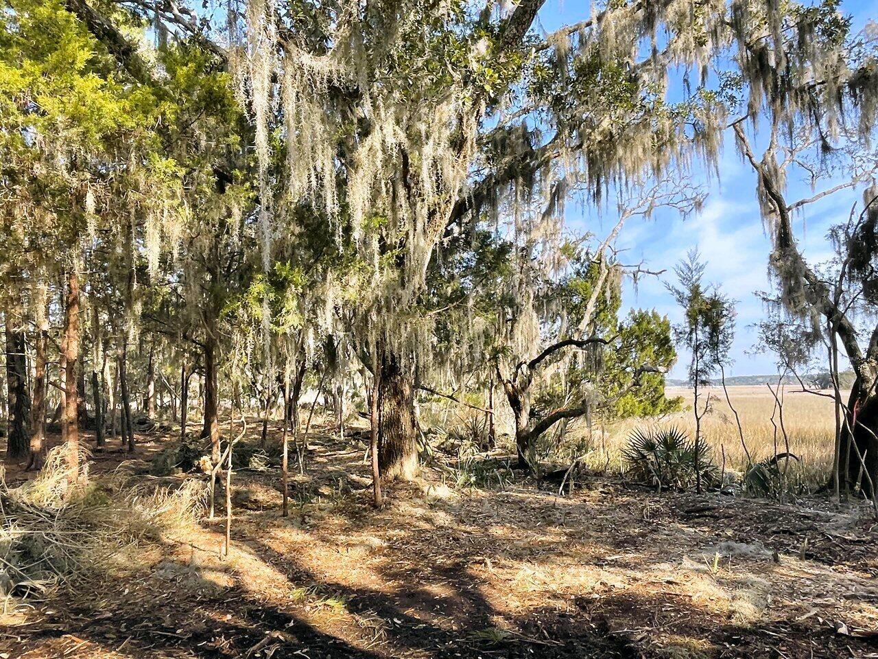 1 Long Island Road Meggett, SC 29449 - Photo 20 of 35 Moss Drapped Oaks