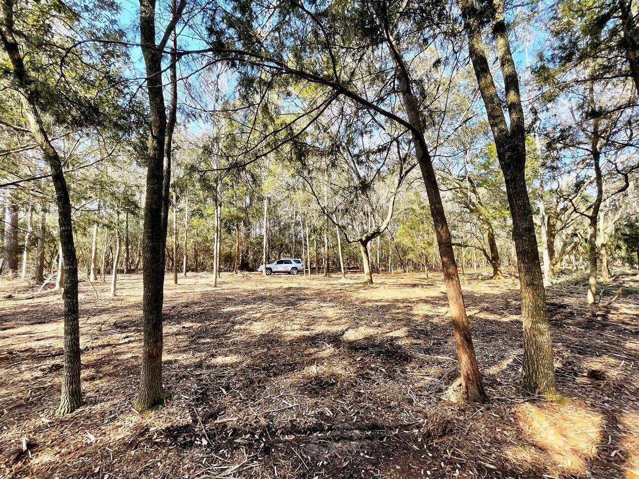 1 Long Island Road Meggett, SC 29449 - Photo 22 of 35 Gyro Tracked area!