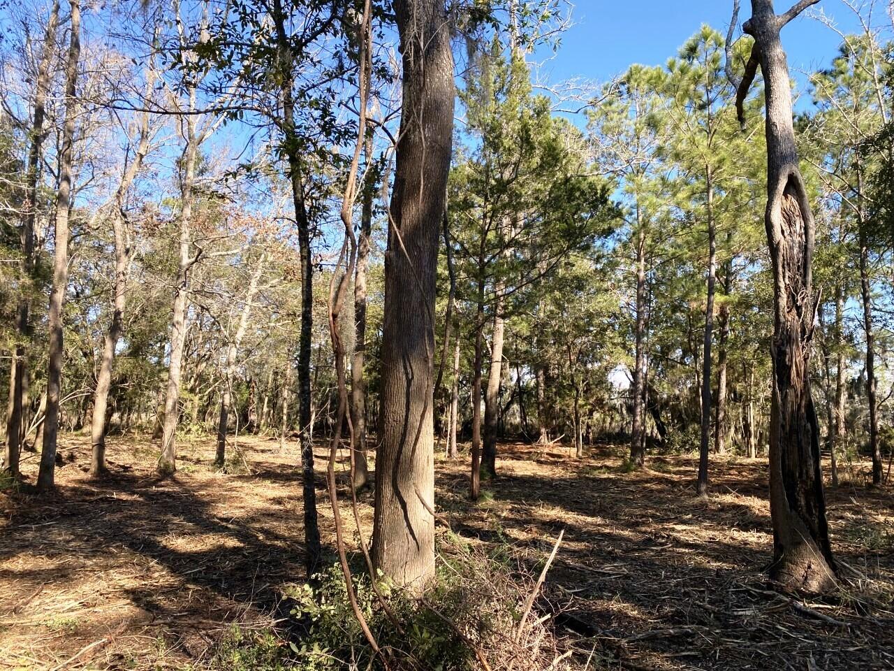 1 Long Island Road Meggett, SC 29449 - Photo 23 of 35 Plenty of Privacy!