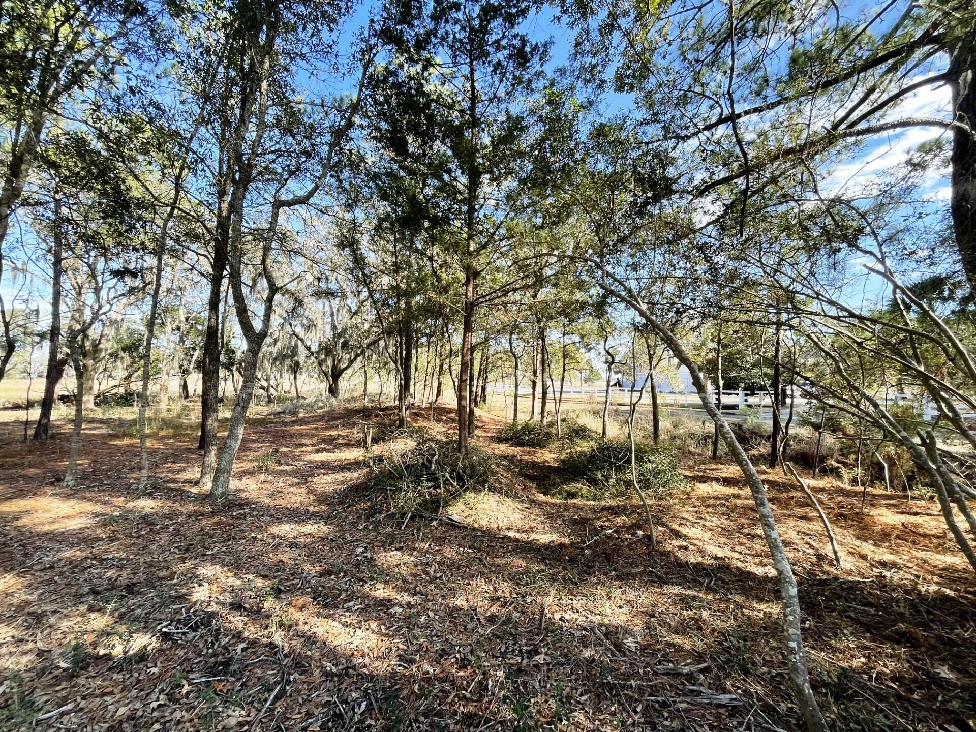1 Long Island Road Meggett, SC 29449 - Photo 29 of 35 Great breezes and views!