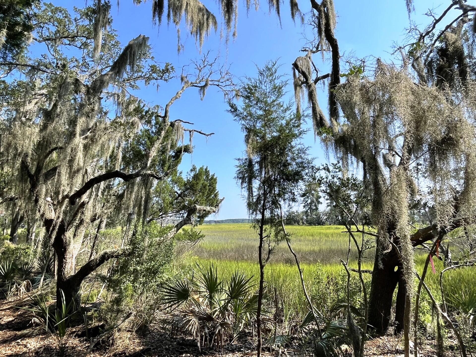 1 Long Island Road Meggett, SC 29449 - Photo 30 of 35 Views