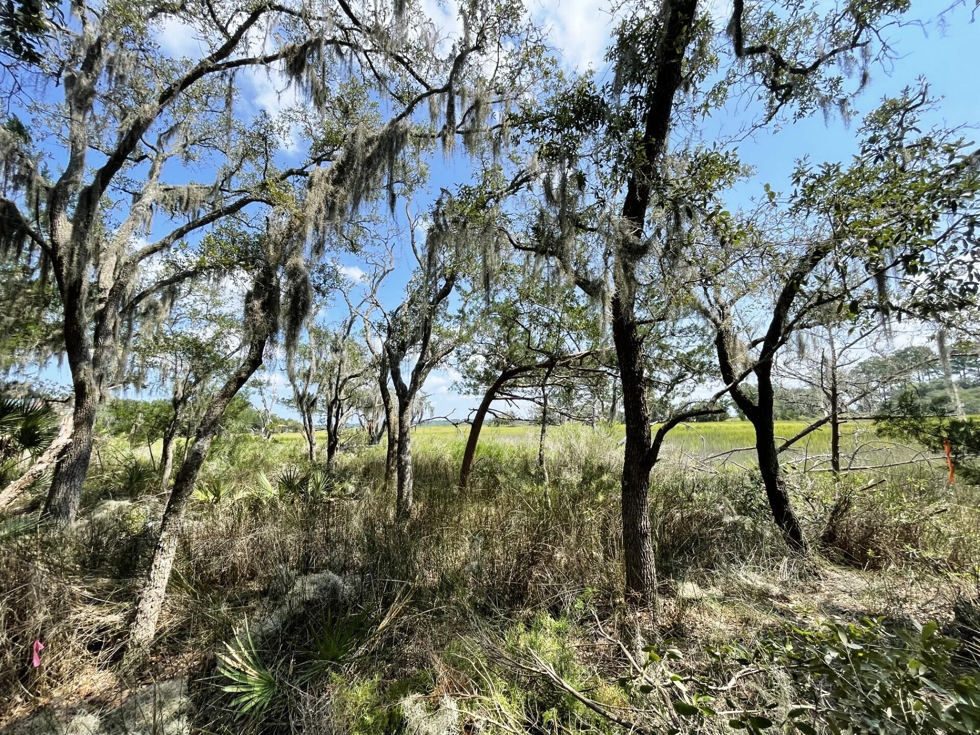 1 Long Island Road Meggett, SC 29449 - Photo 33 of 35 Views