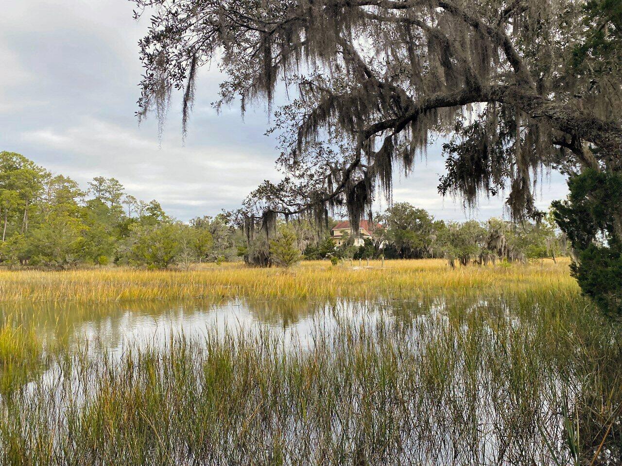 1 Long Island Road Meggett, SC 29449 - Photo 4 of 35 Oak Lined Bank
