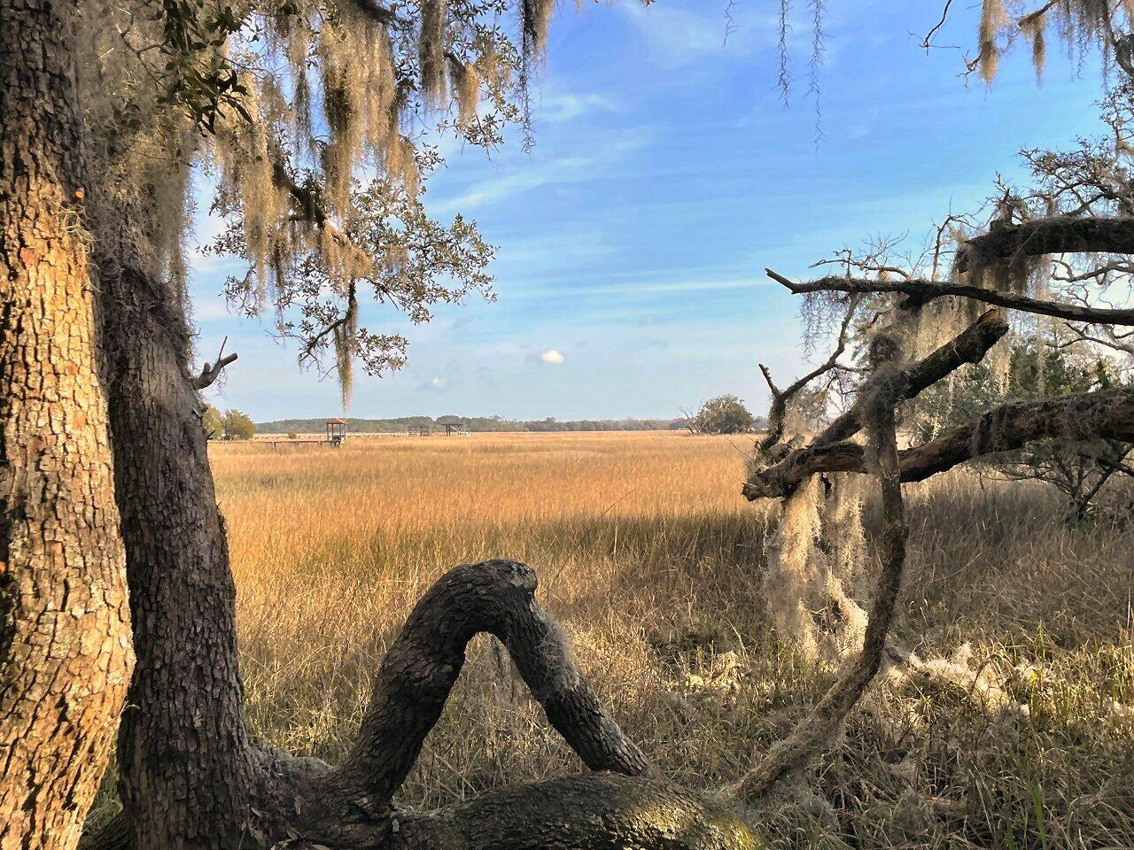 1 Long Island Road Meggett, SC 29449 - Photo 8 of 35 Build your dream home!