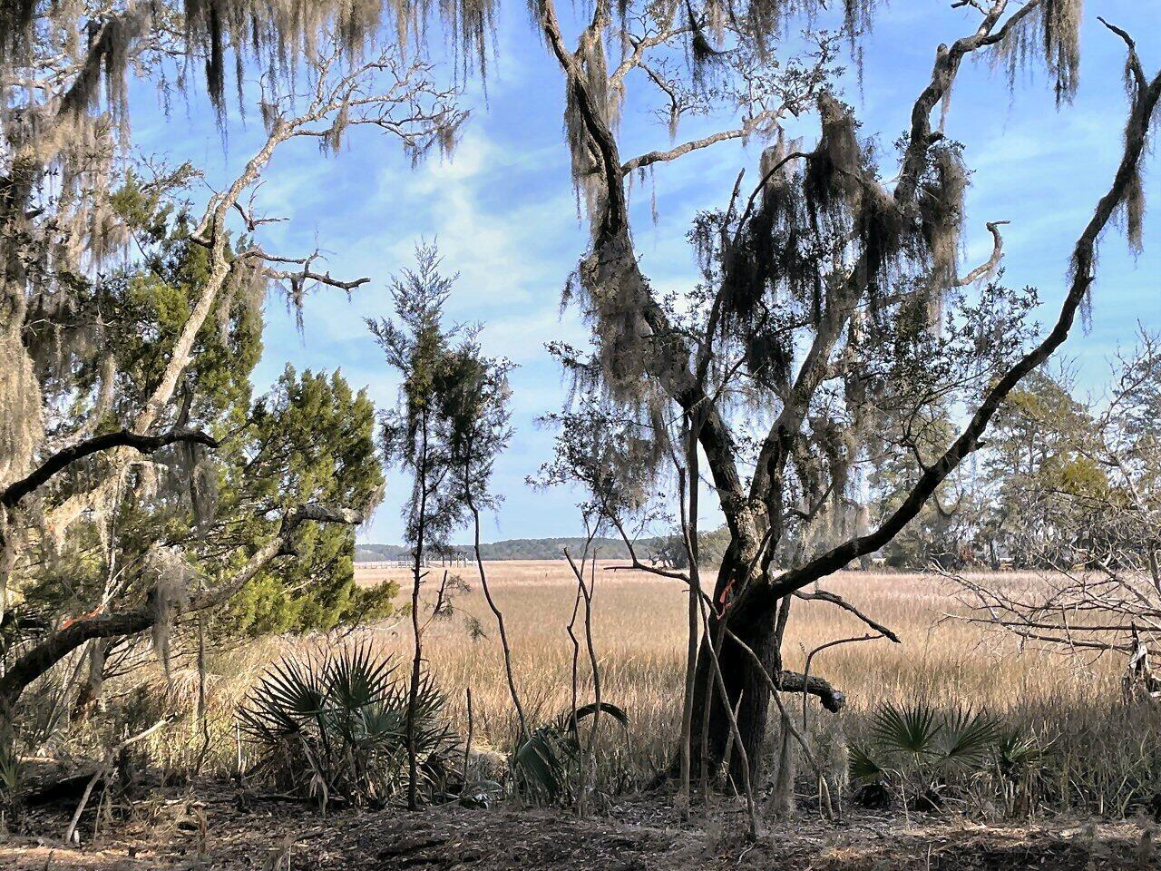 1 Long Island Road Meggett, SC 29449 - Photo 9 of 35 Buy now, build later!