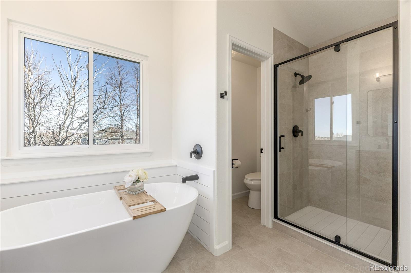 9648 Bellmore Place Highlands Ranch, CO 80126 - Photo 23 of 46