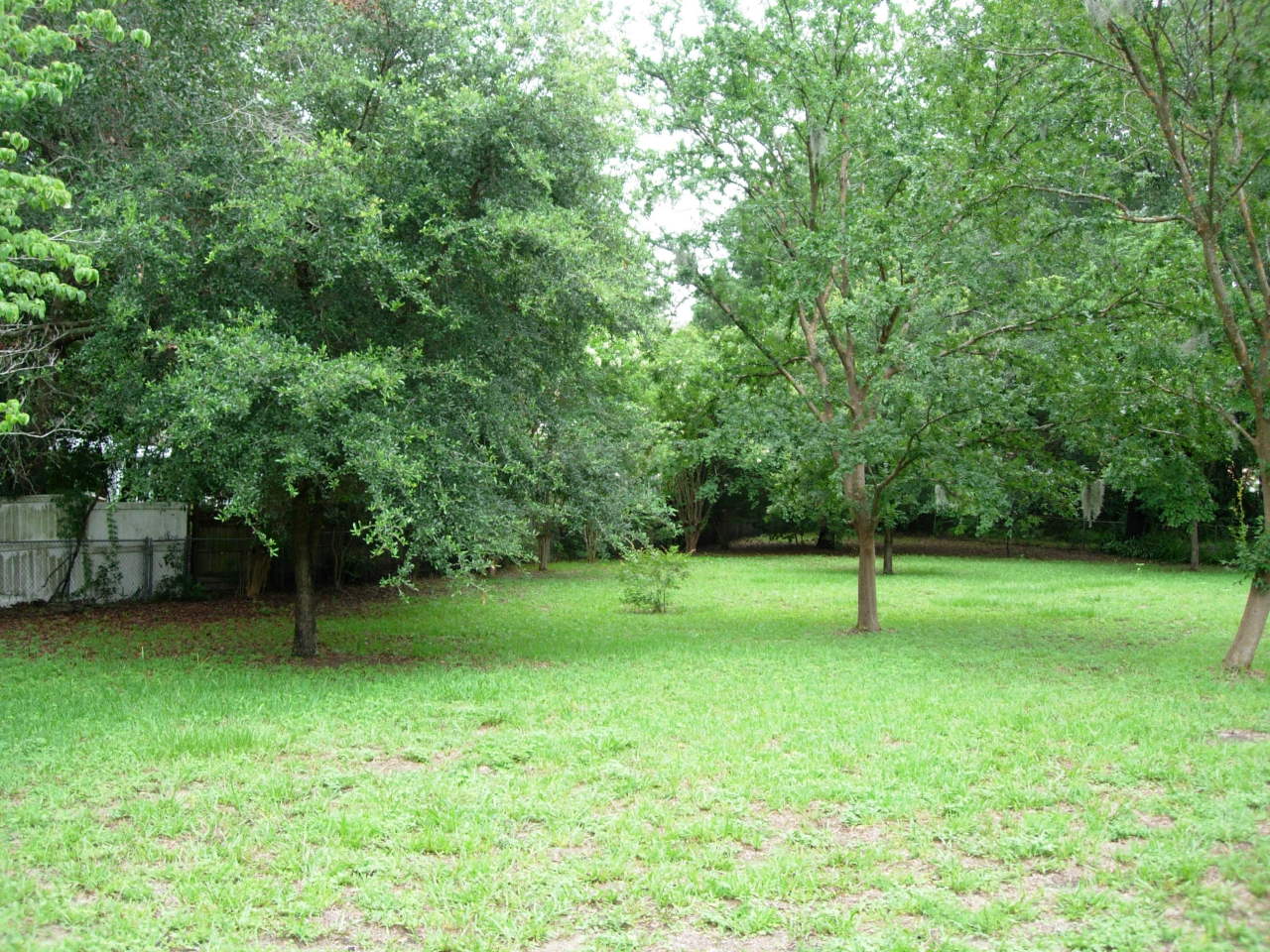 9761 Lily Road Jacksonville, FL 32246 - Photo 6 of 8 Backyard 1