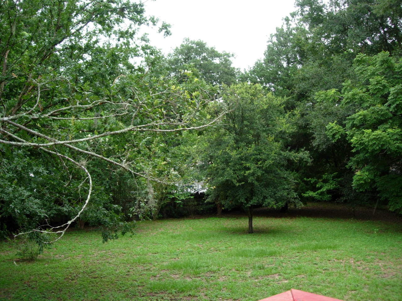 9761 Lily Road Jacksonville, FL 32246 - Photo 8 of 8 Backyard 3