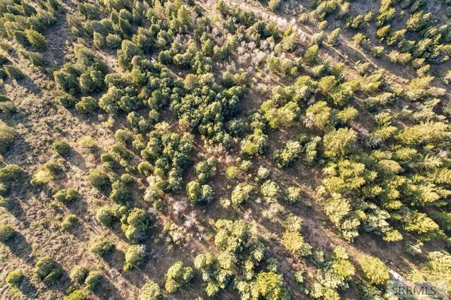 $2,496,000 | Tbd Tbd Chatterton Road, Lava Hot Springs, ID 83246